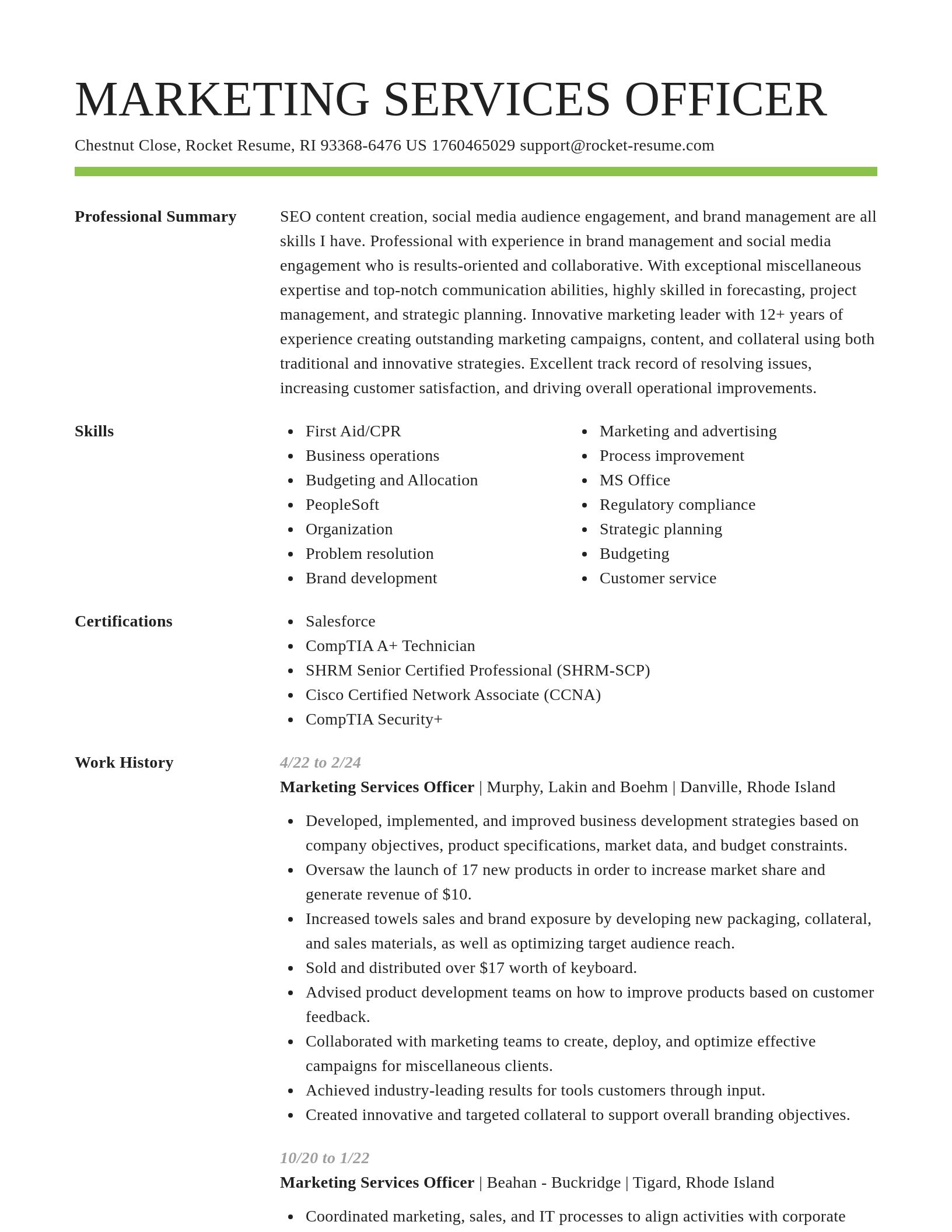 Smart resume template