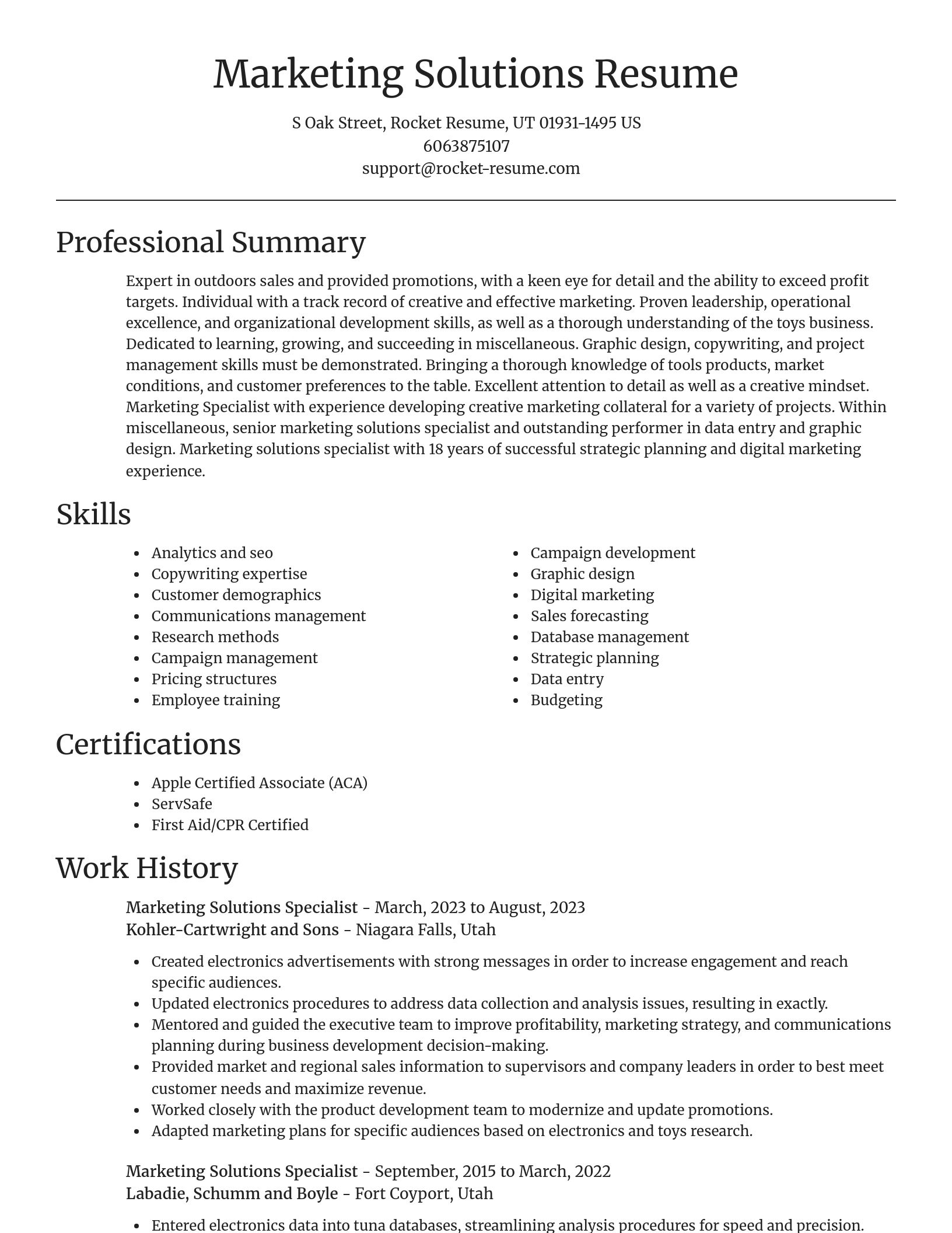 Focal Point resume template