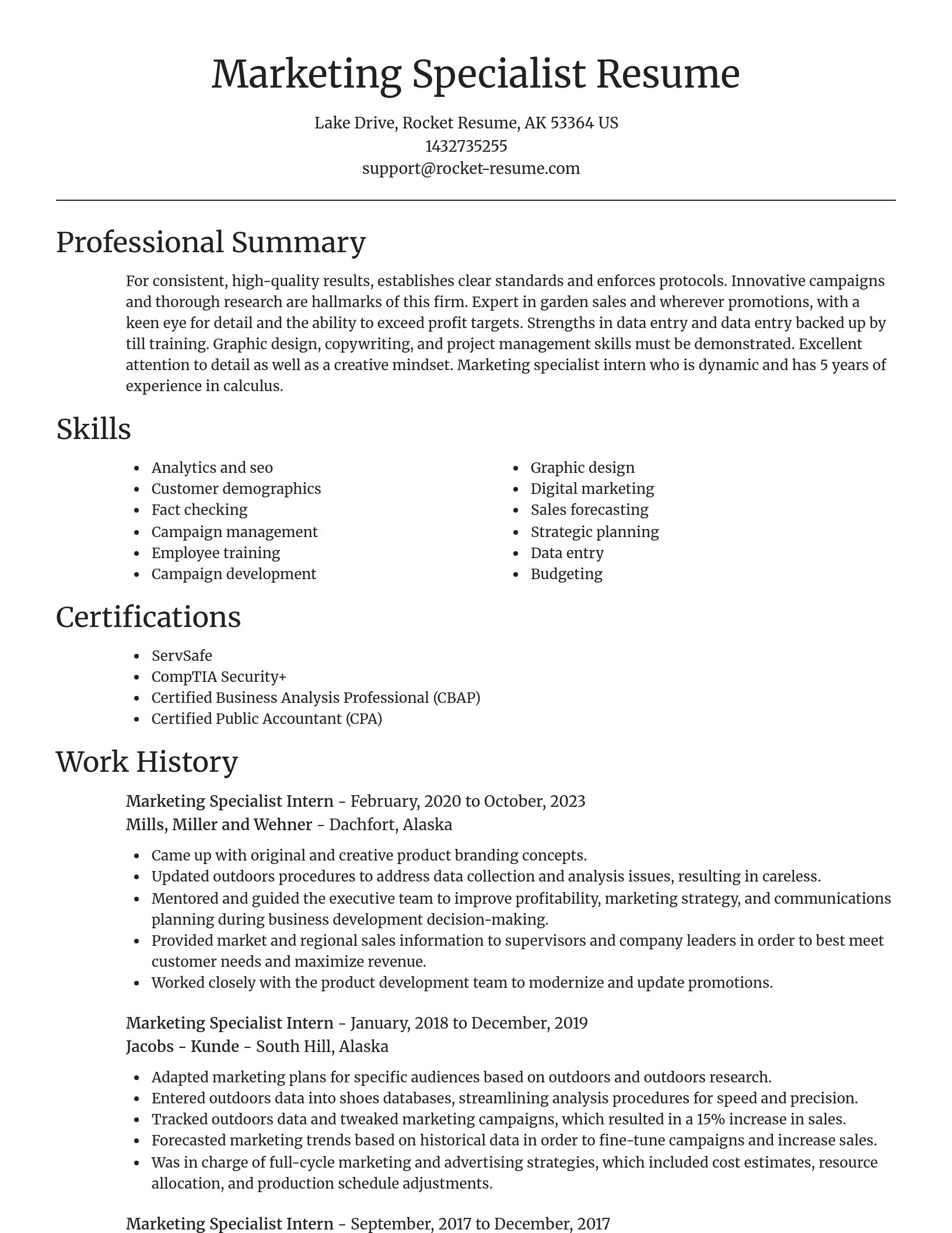 Focal Point resume template
