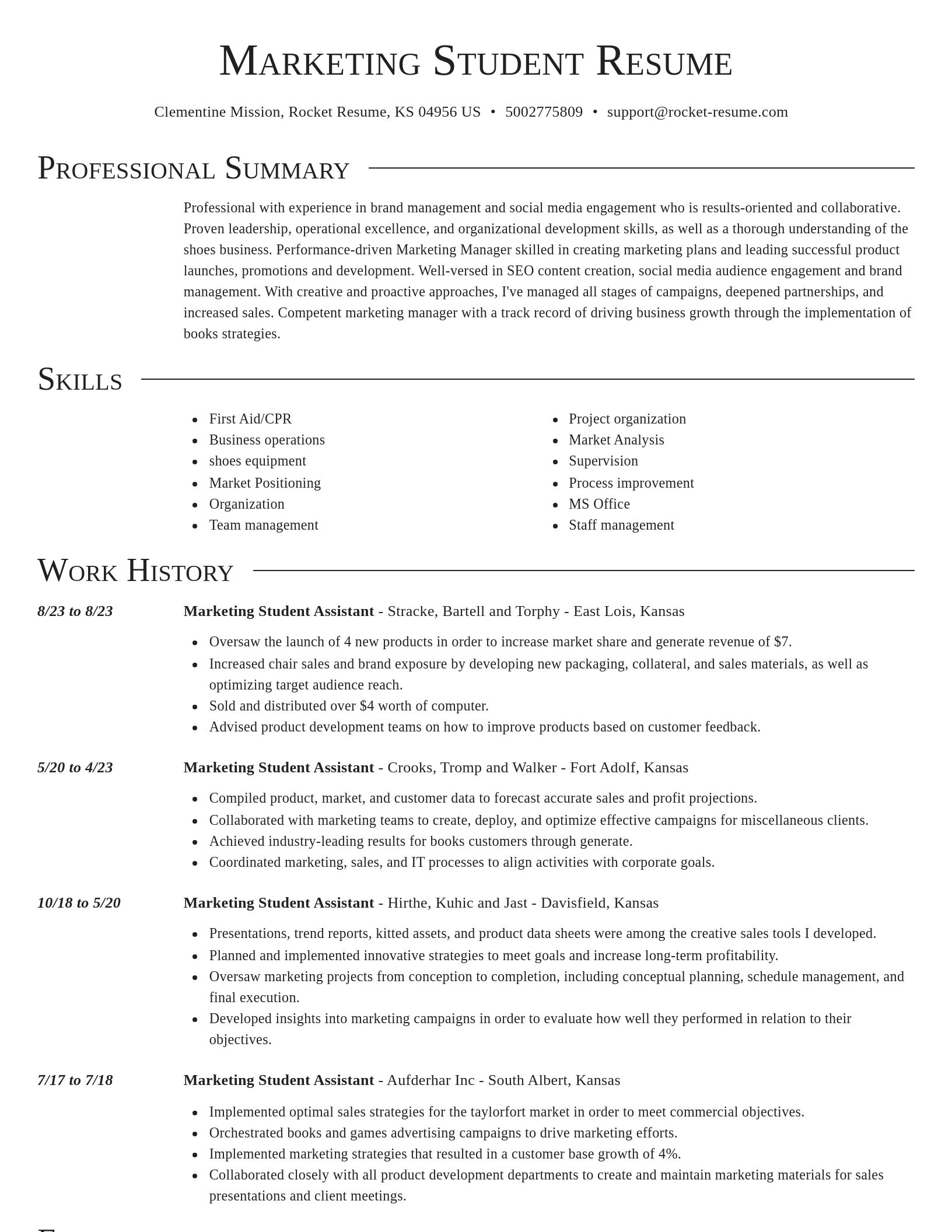 Director resume template
