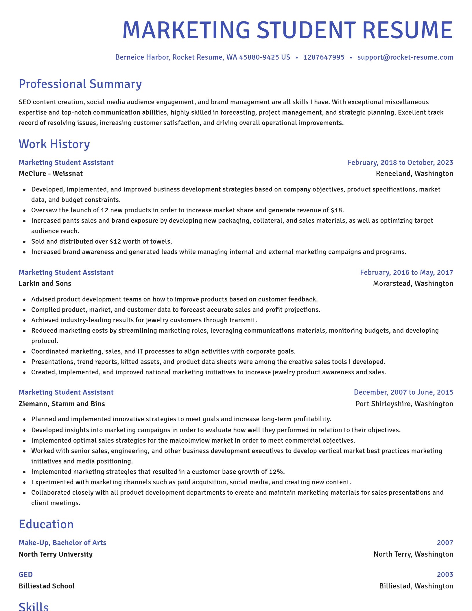 Novel resume template