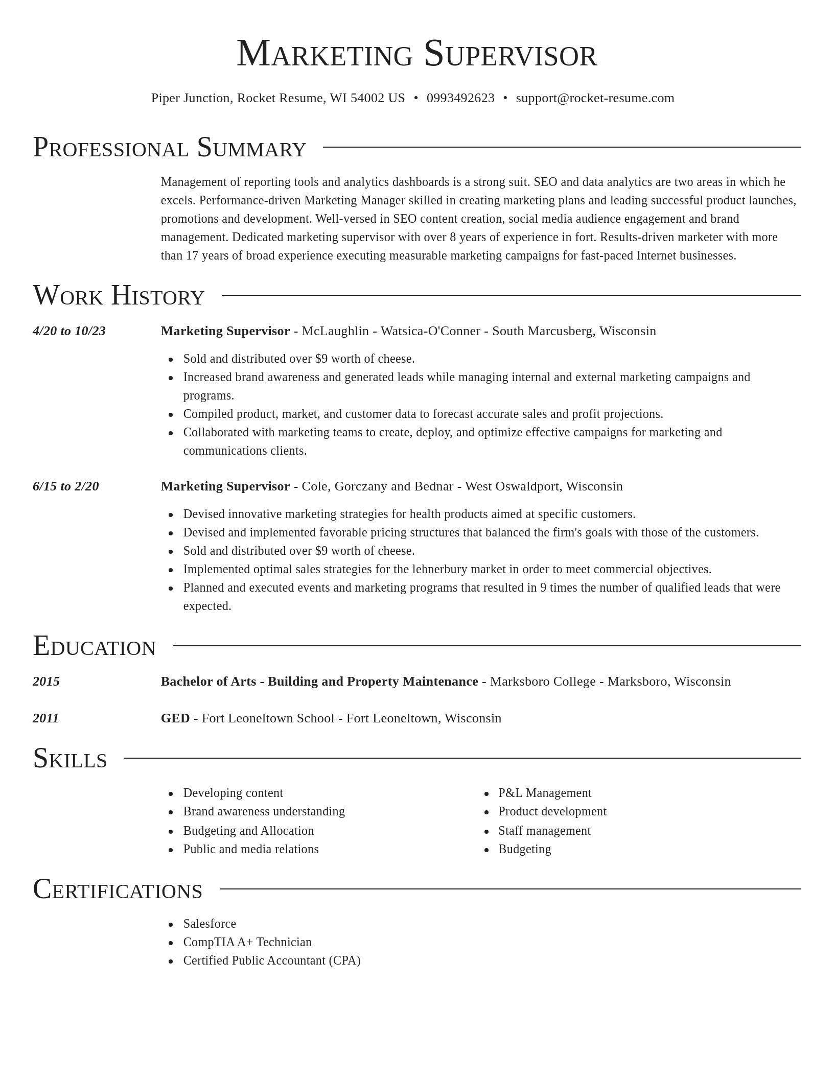 Director resume template