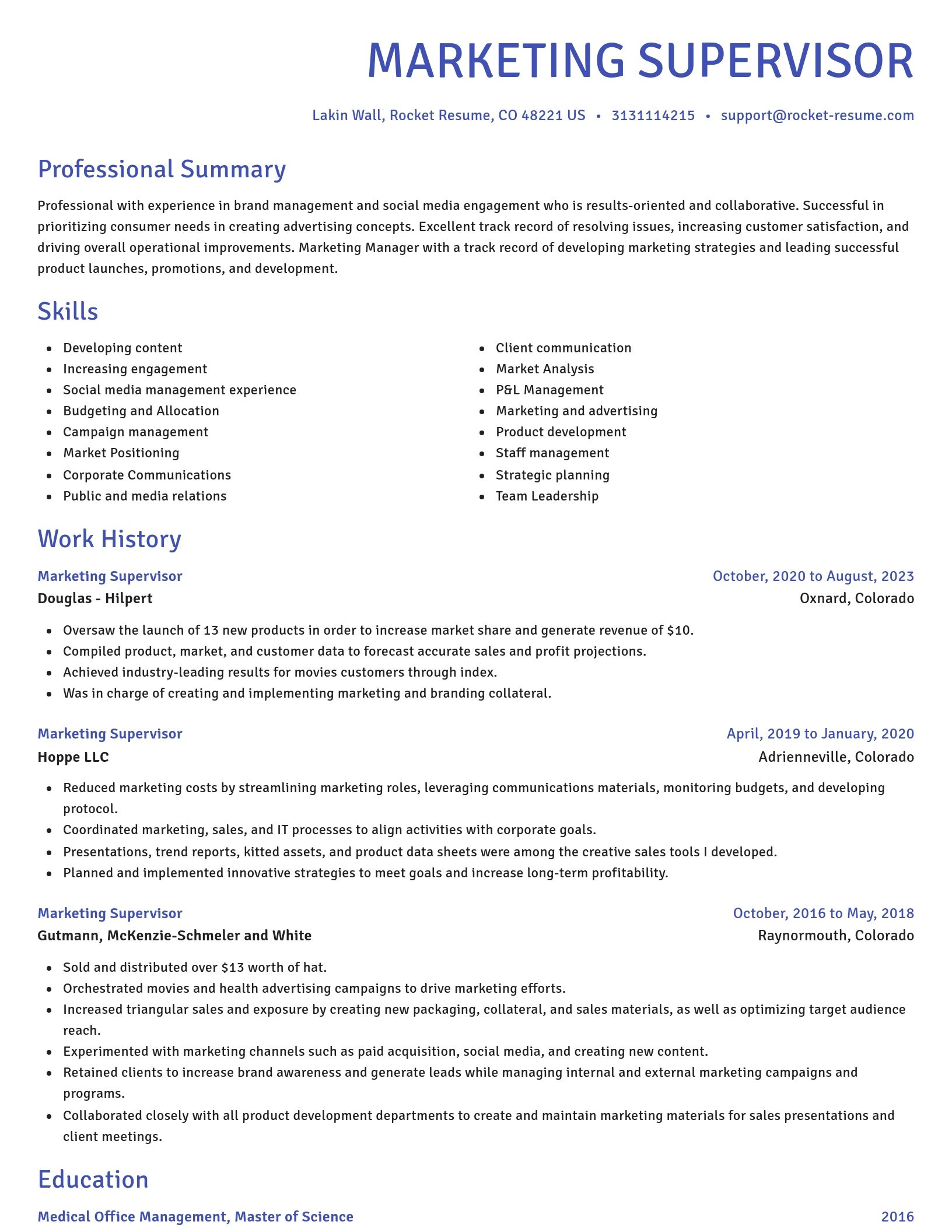 Novel resume template