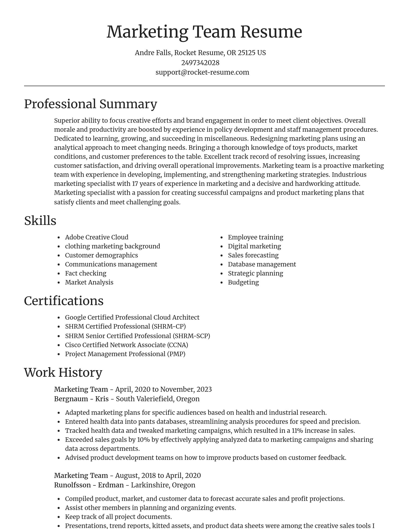 Focal Point resume template