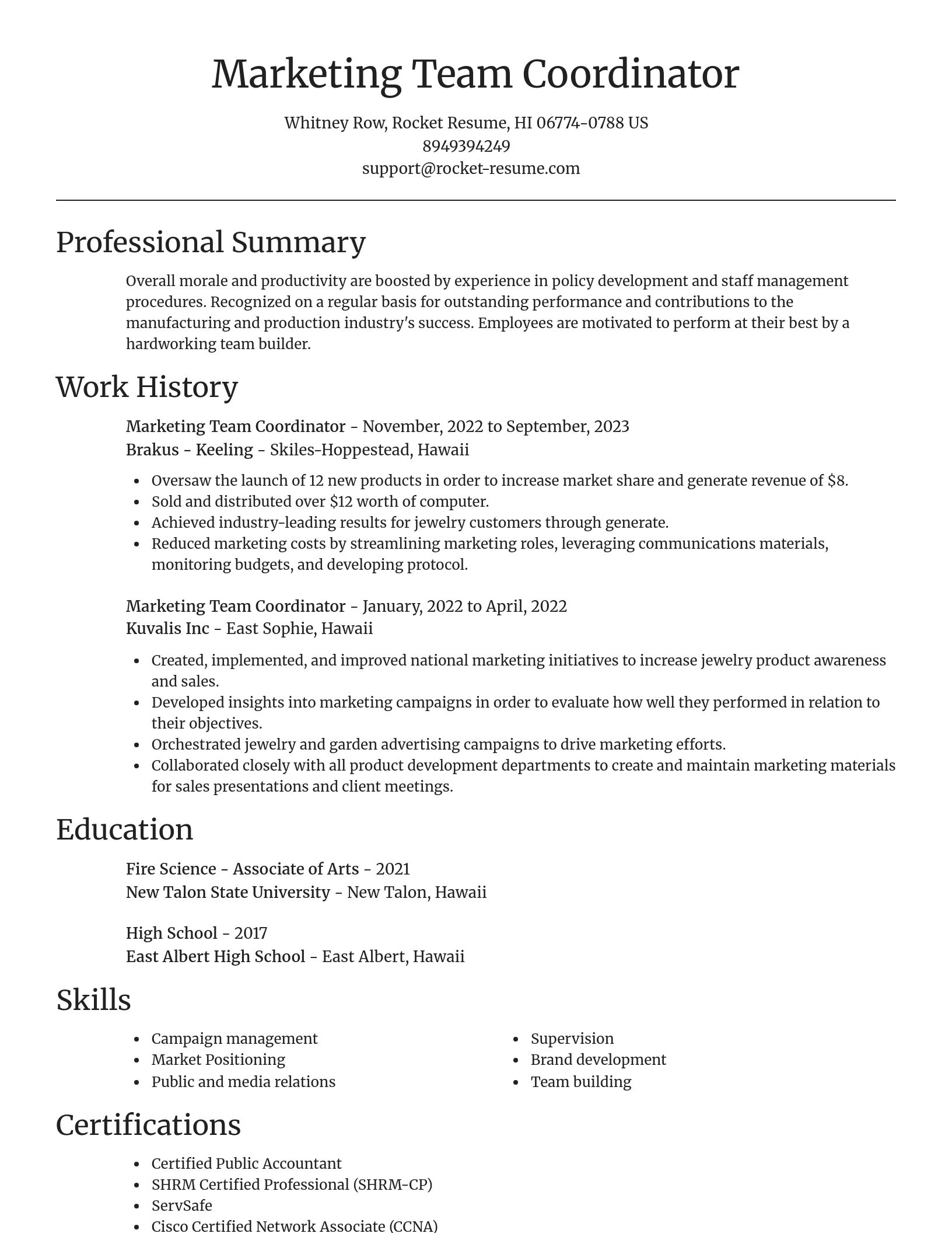 Focal Point resume template