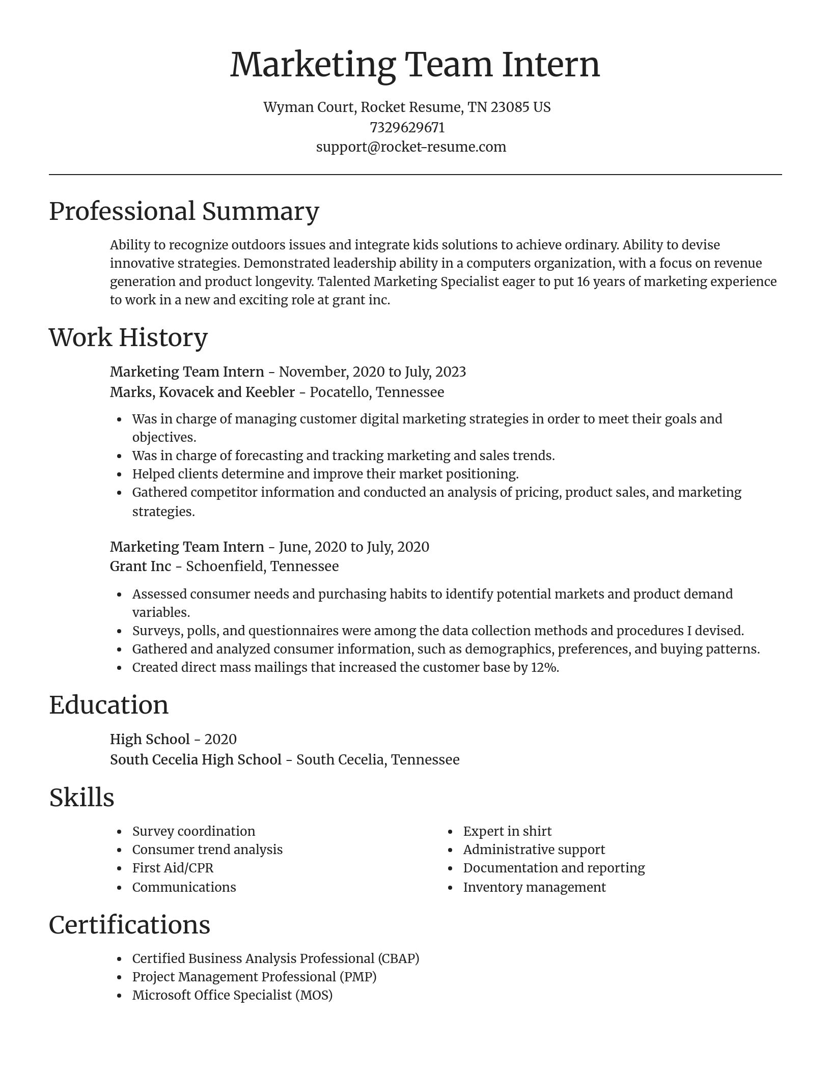 Focal Point resume template