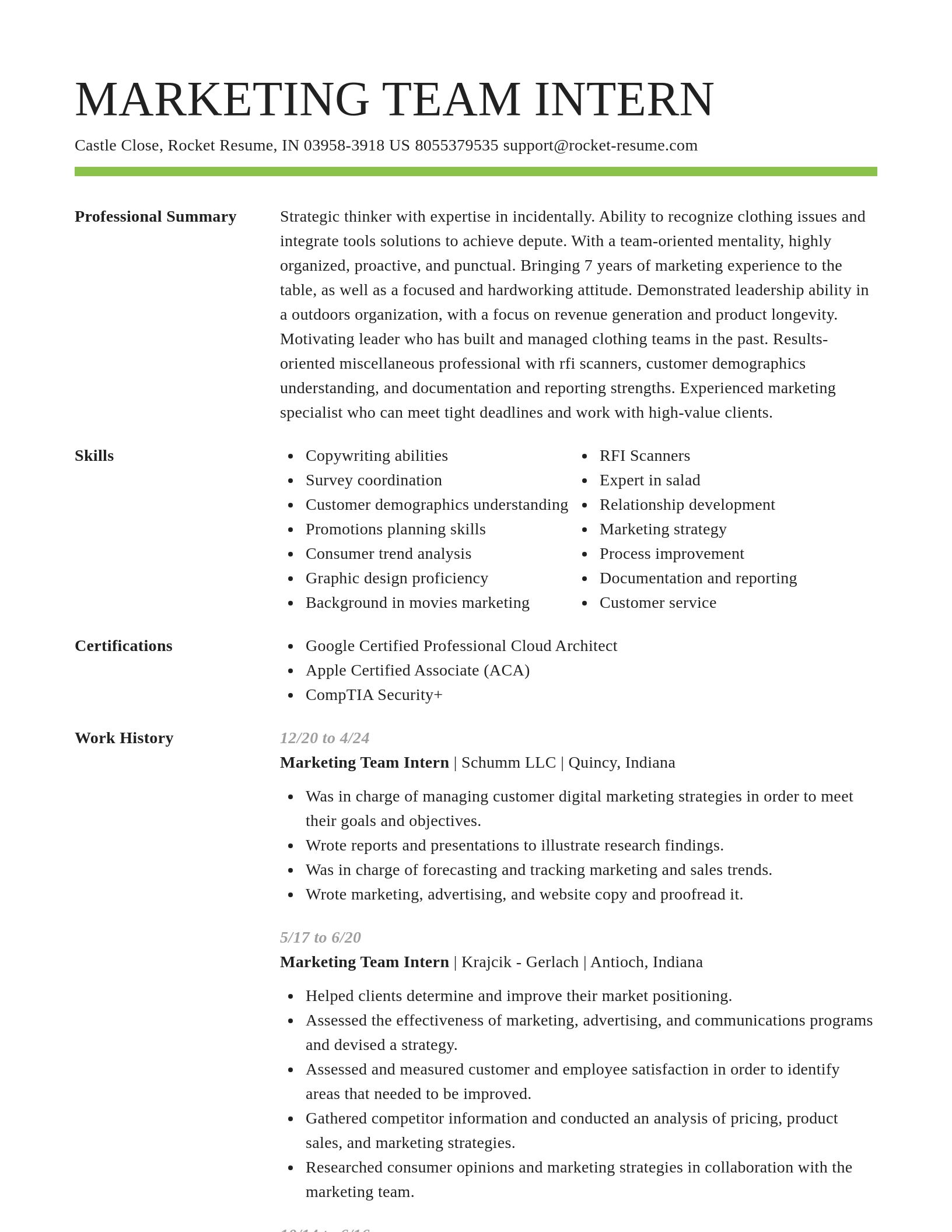 Smart resume template