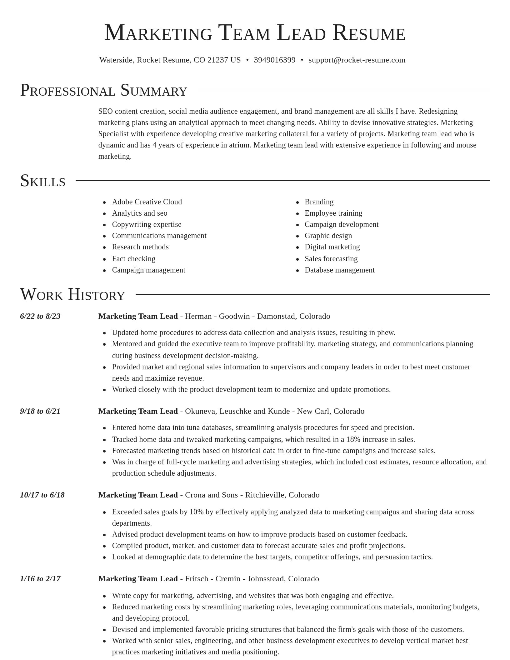 Director resume template