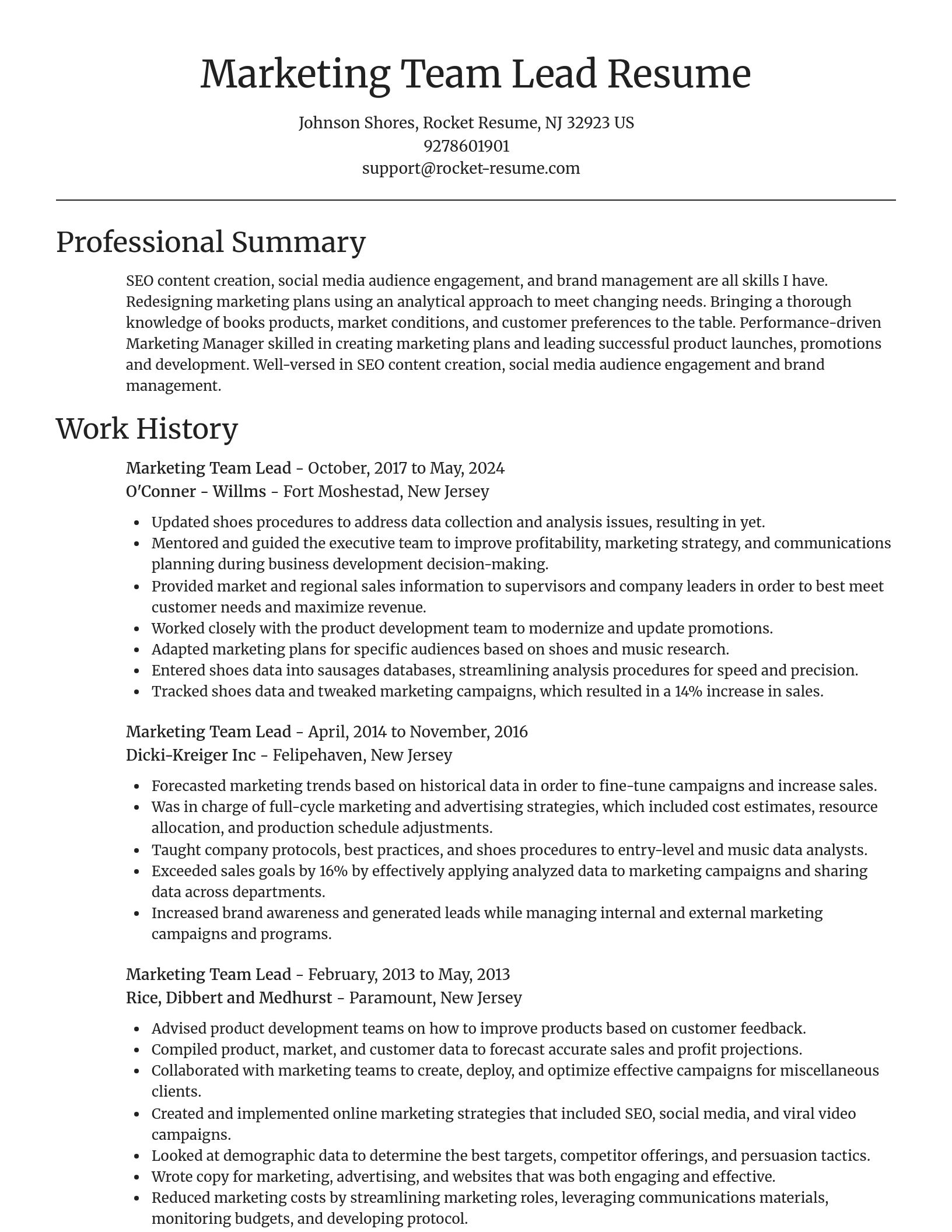 Focal Point resume template