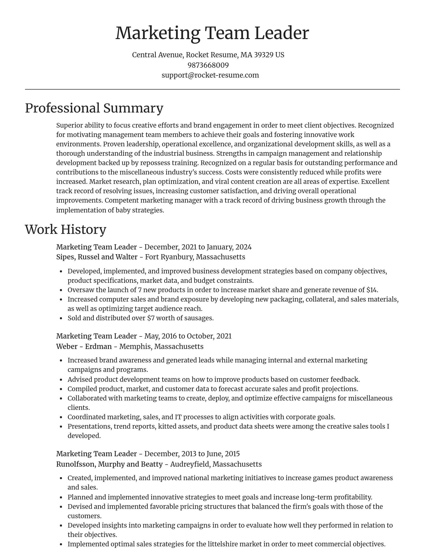 Focal Point resume template
