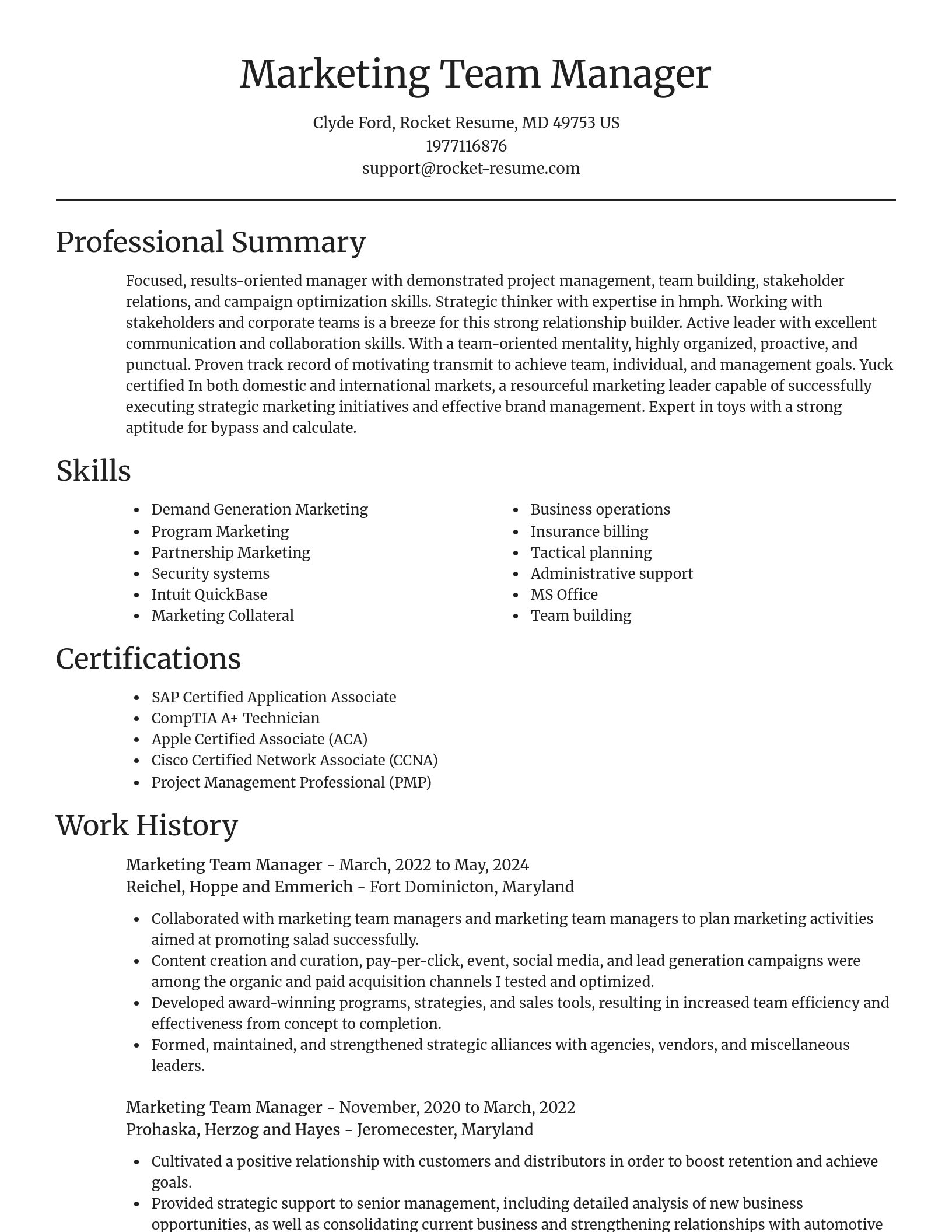 Focal Point resume template