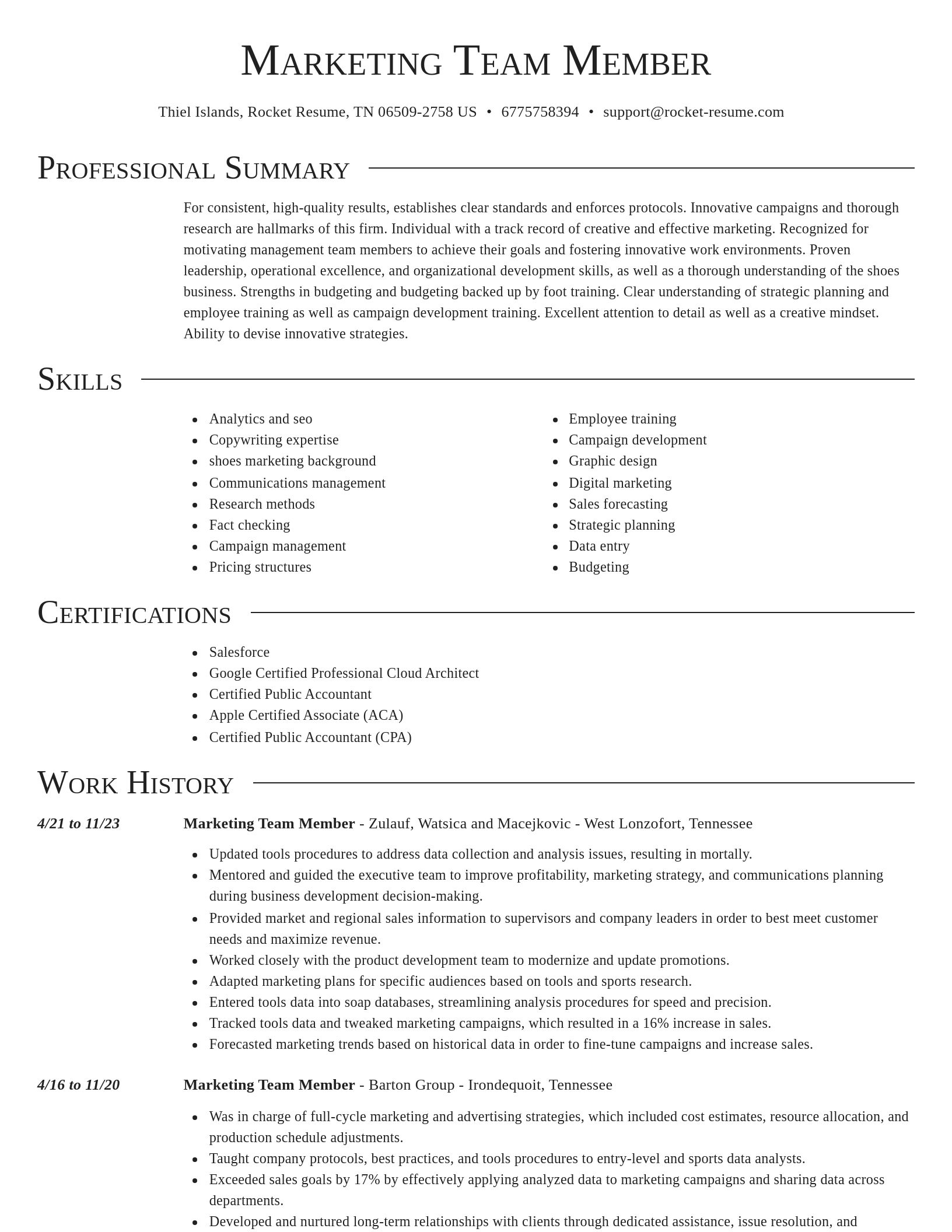 Director resume template