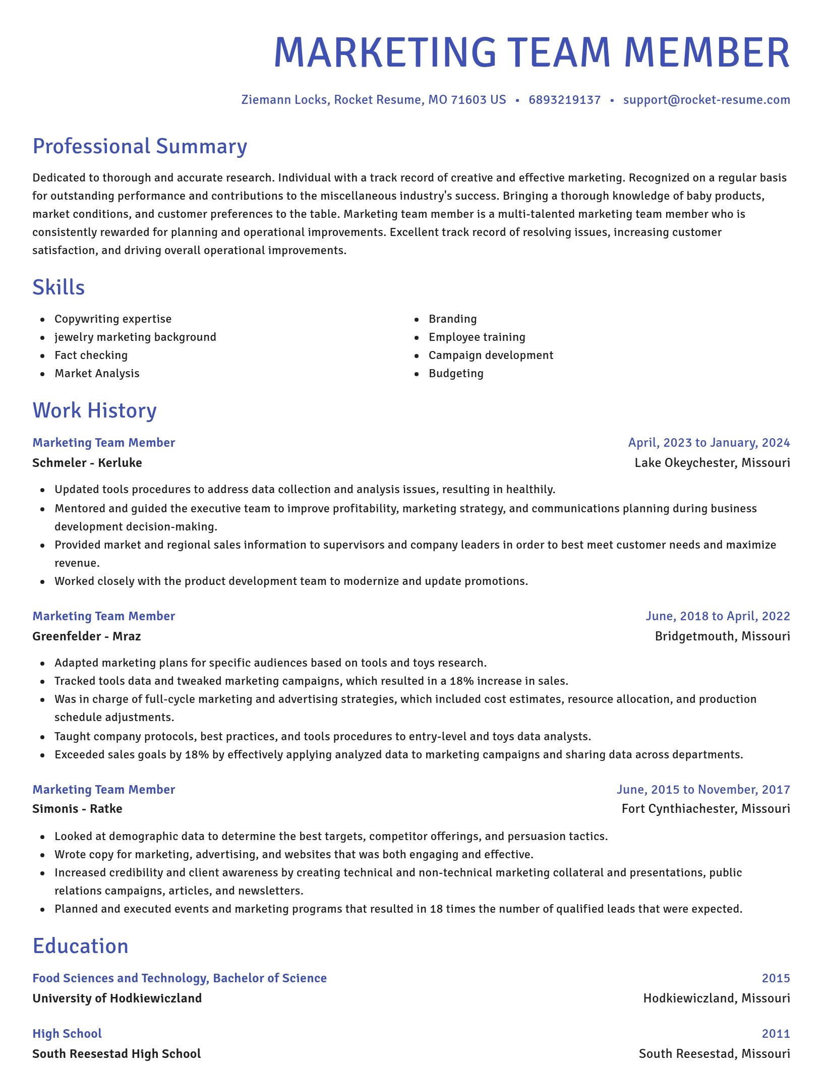 Novel resume template