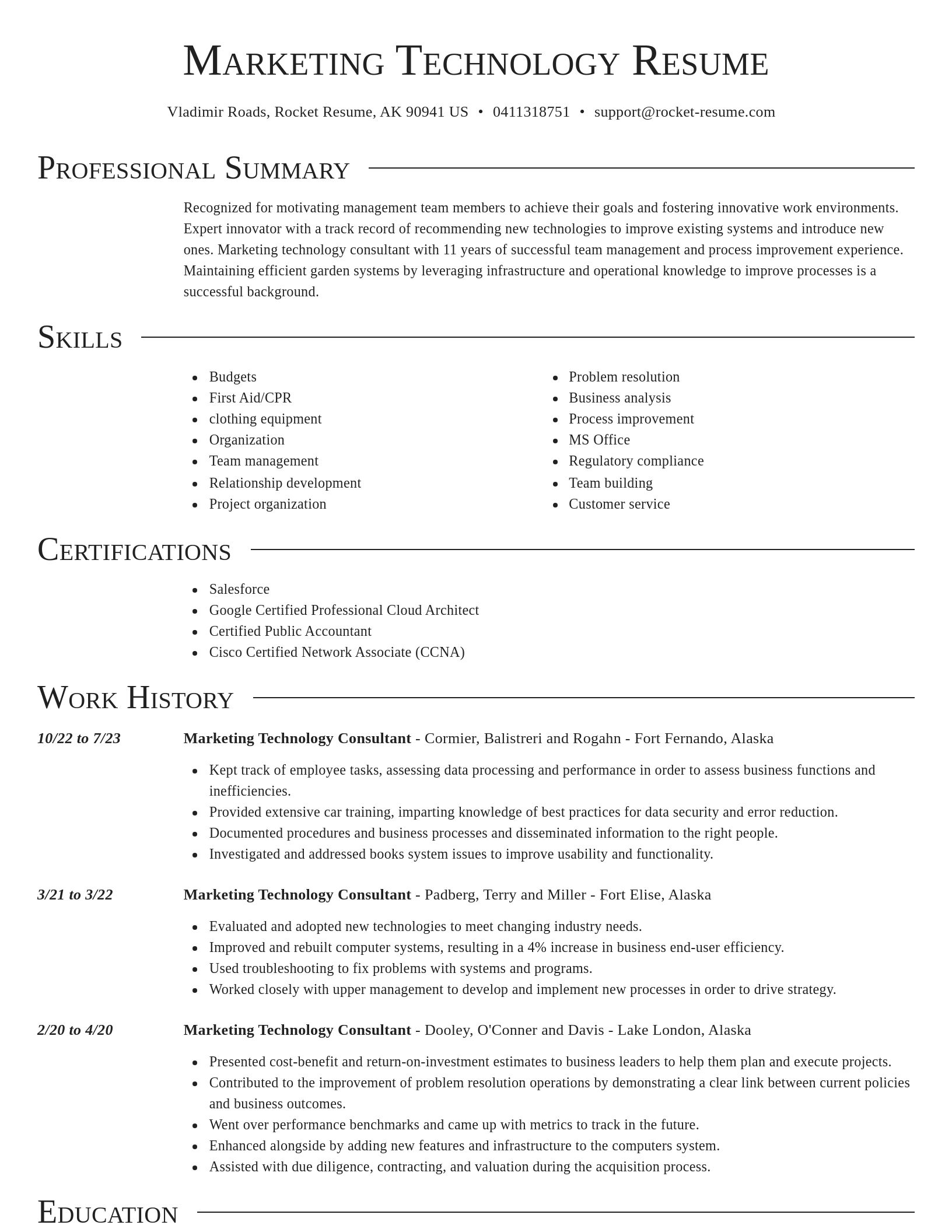 Director resume template