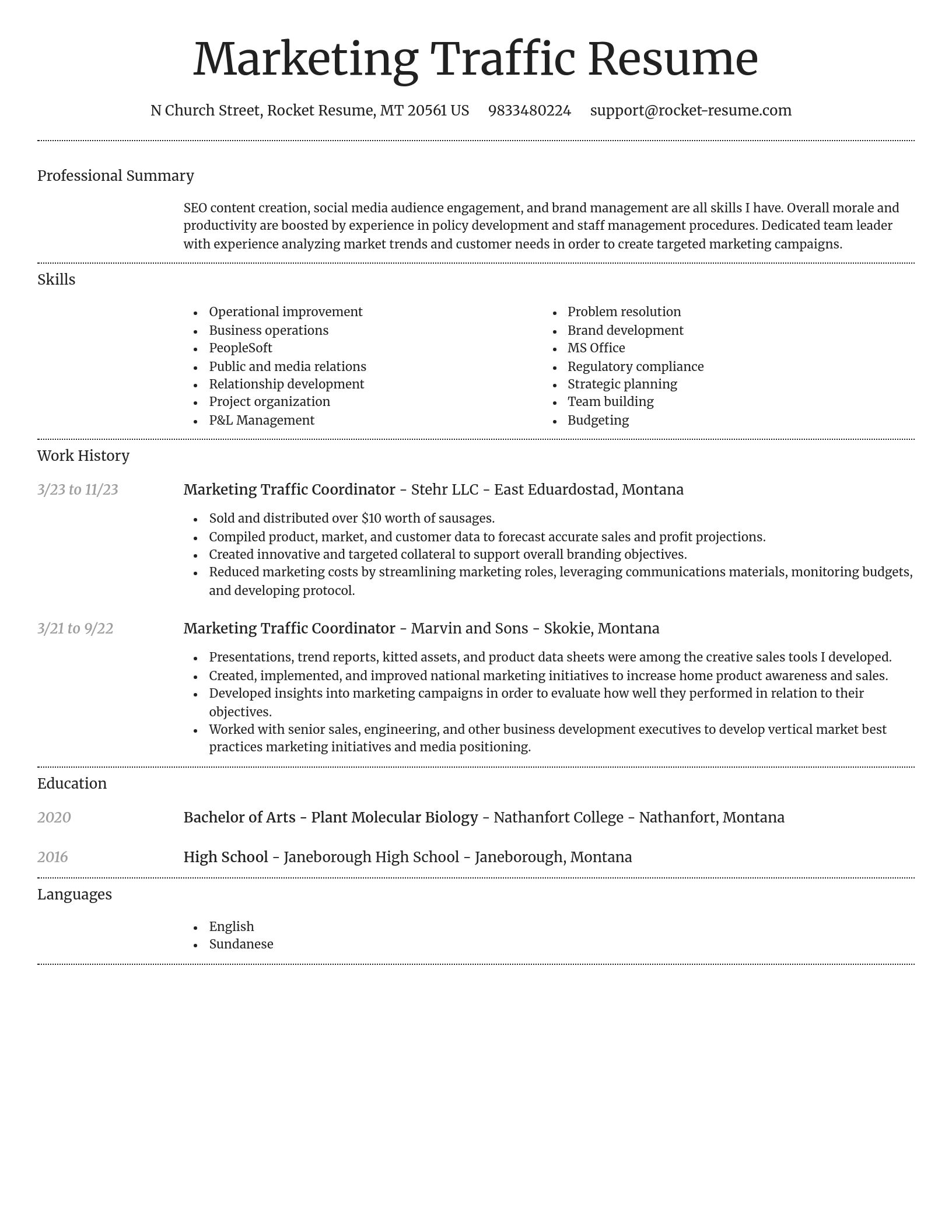 Dignified resume template