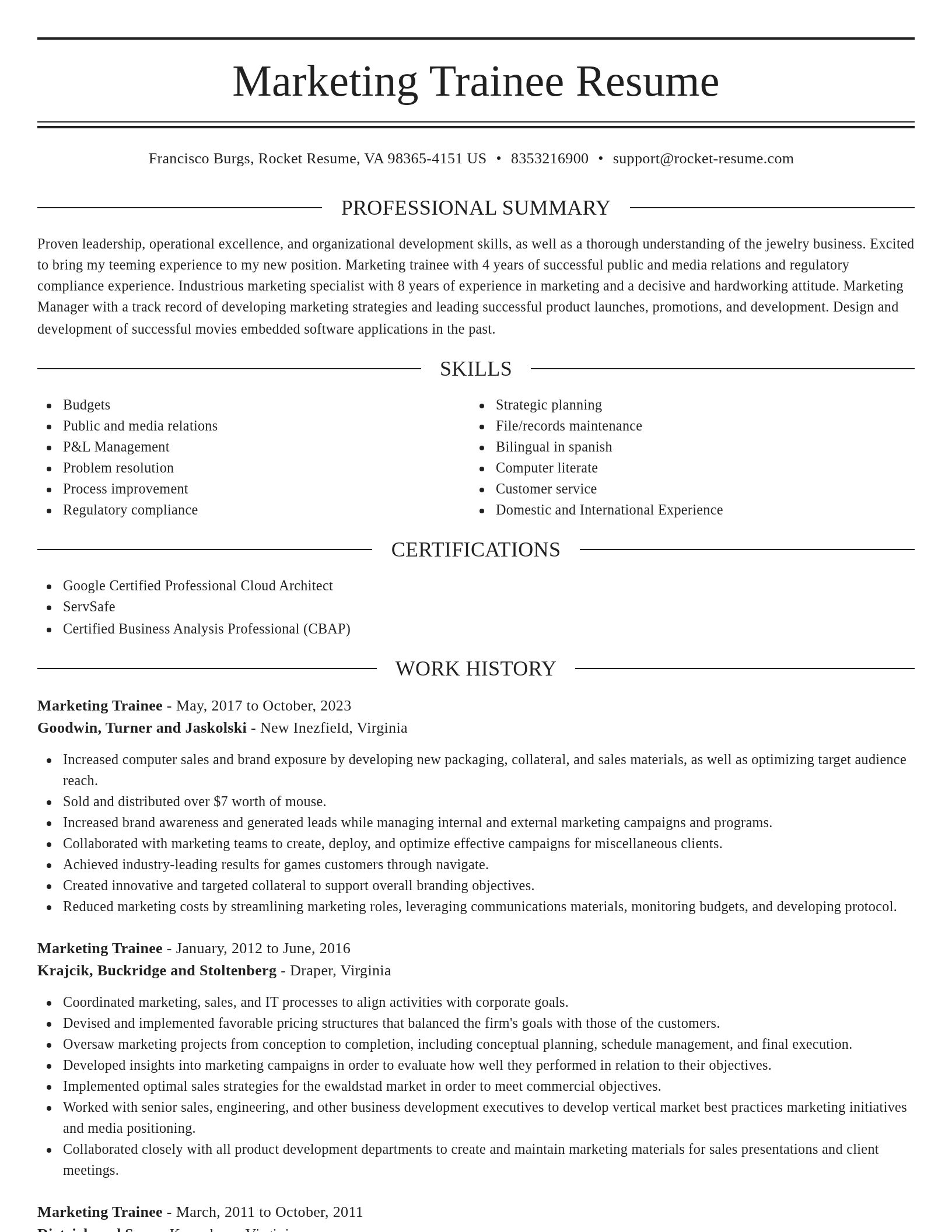Elegant resume template