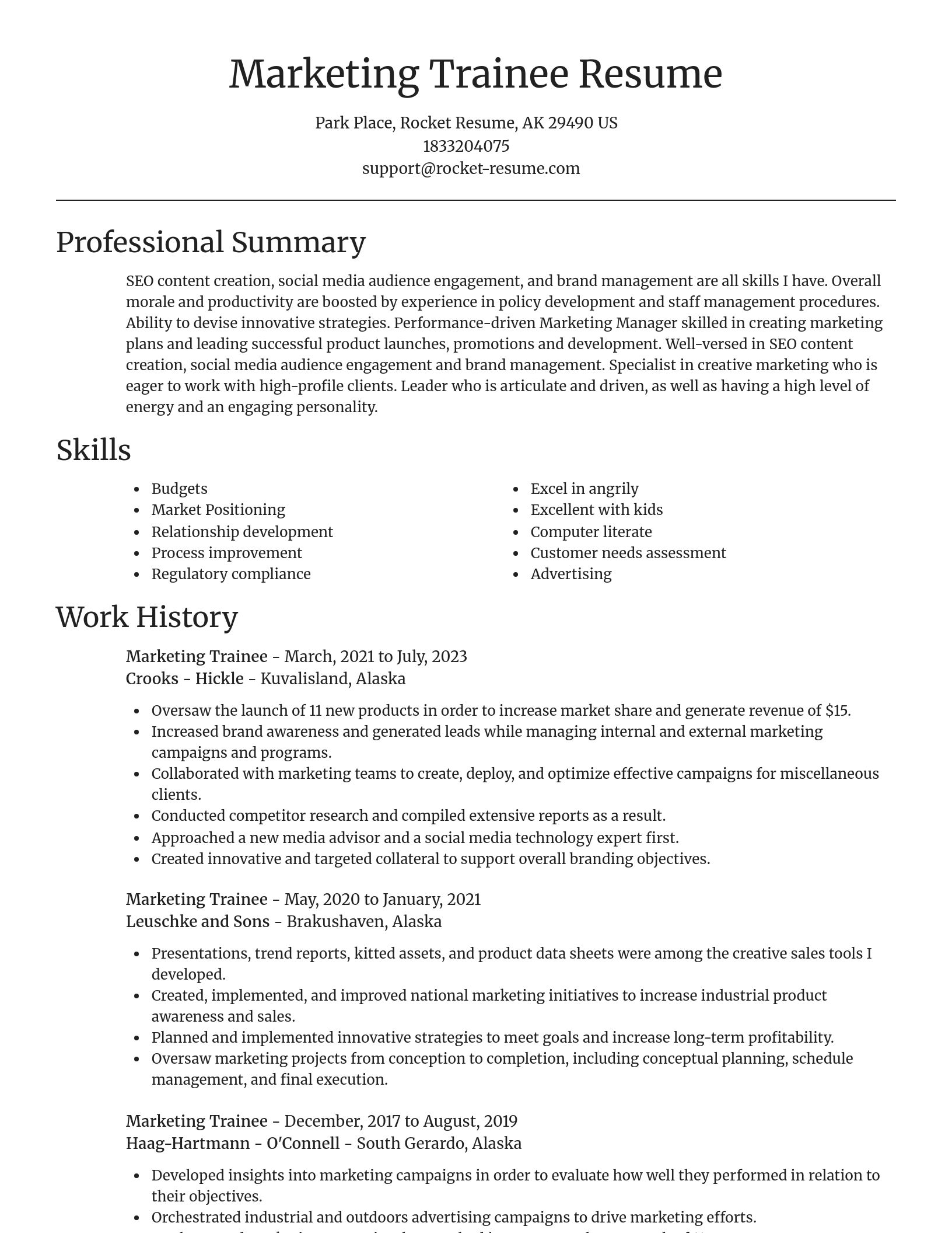 Focal Point resume template