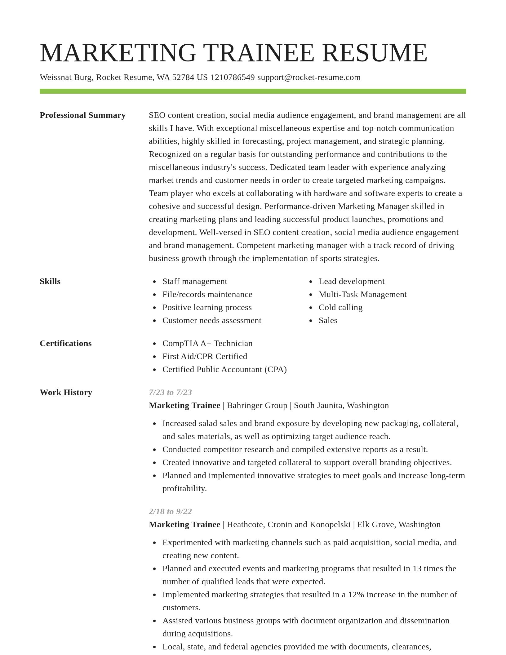Smart resume template