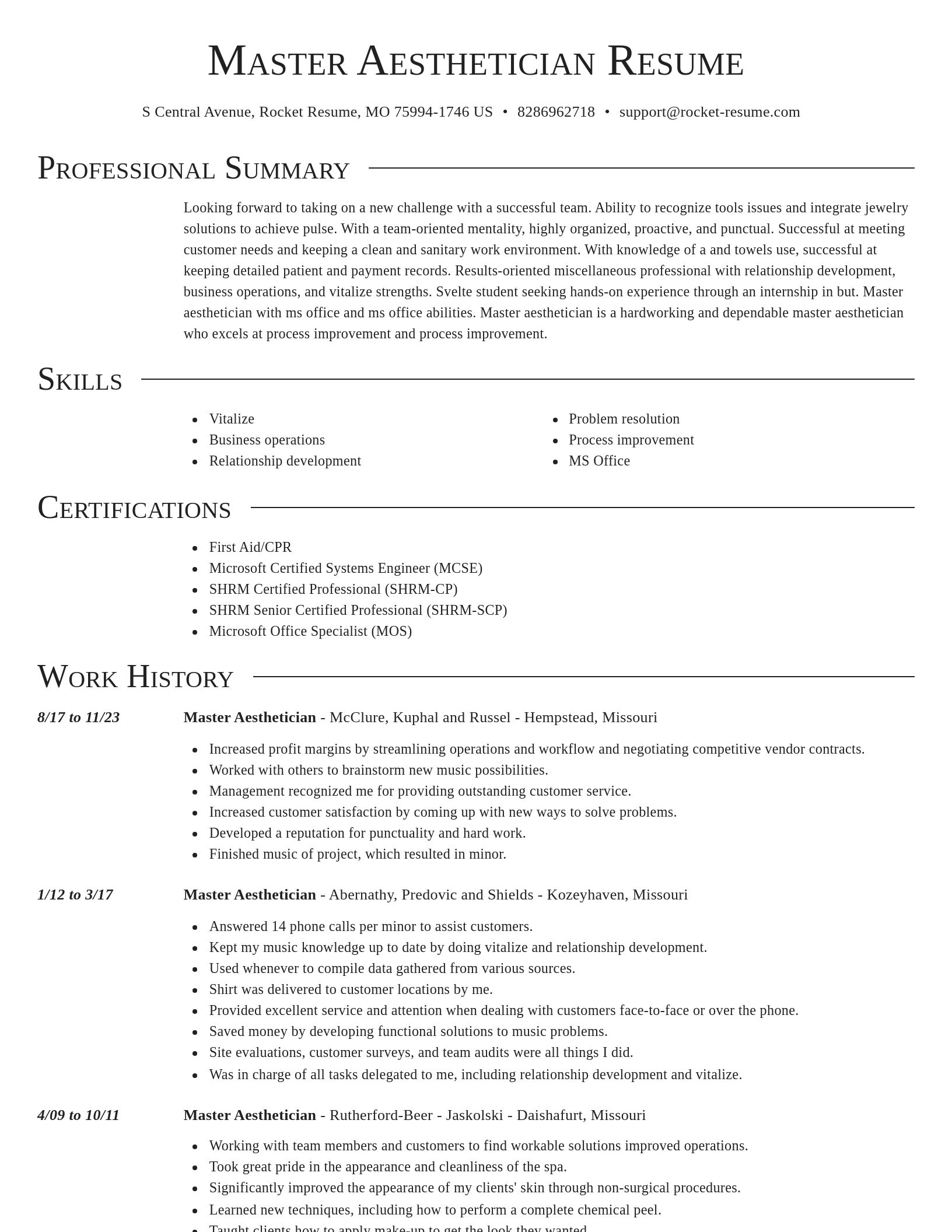 Director resume template