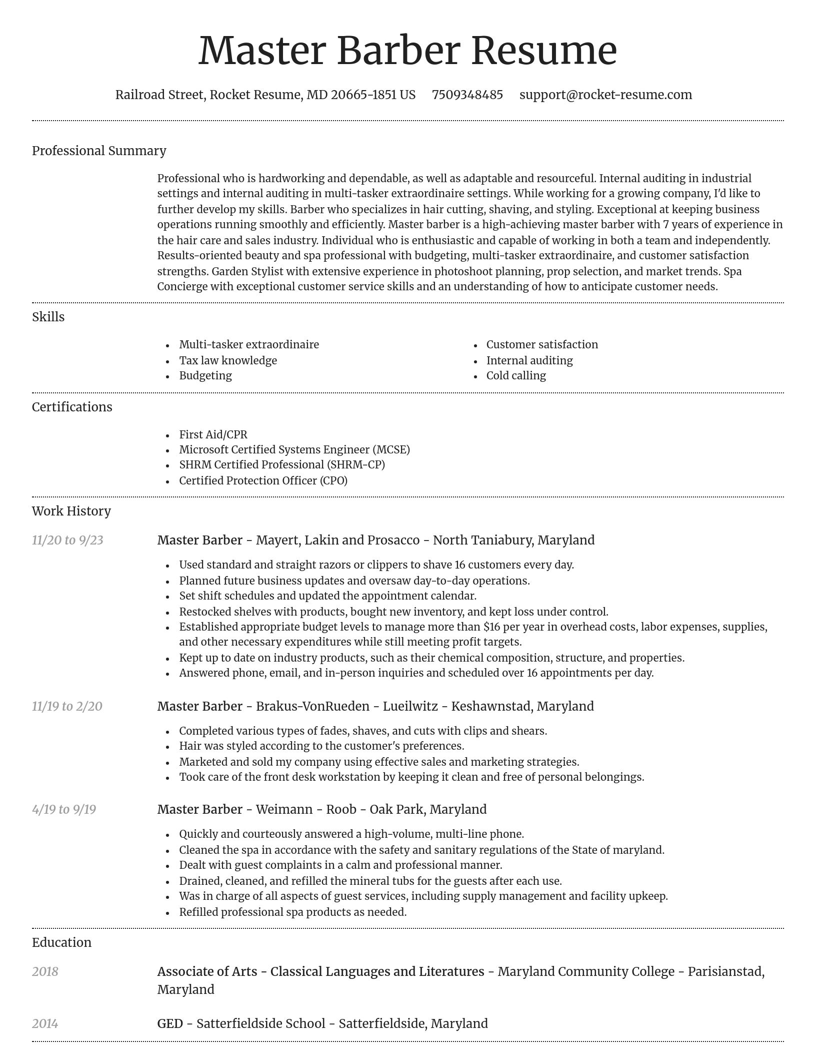 Dignified resume template
