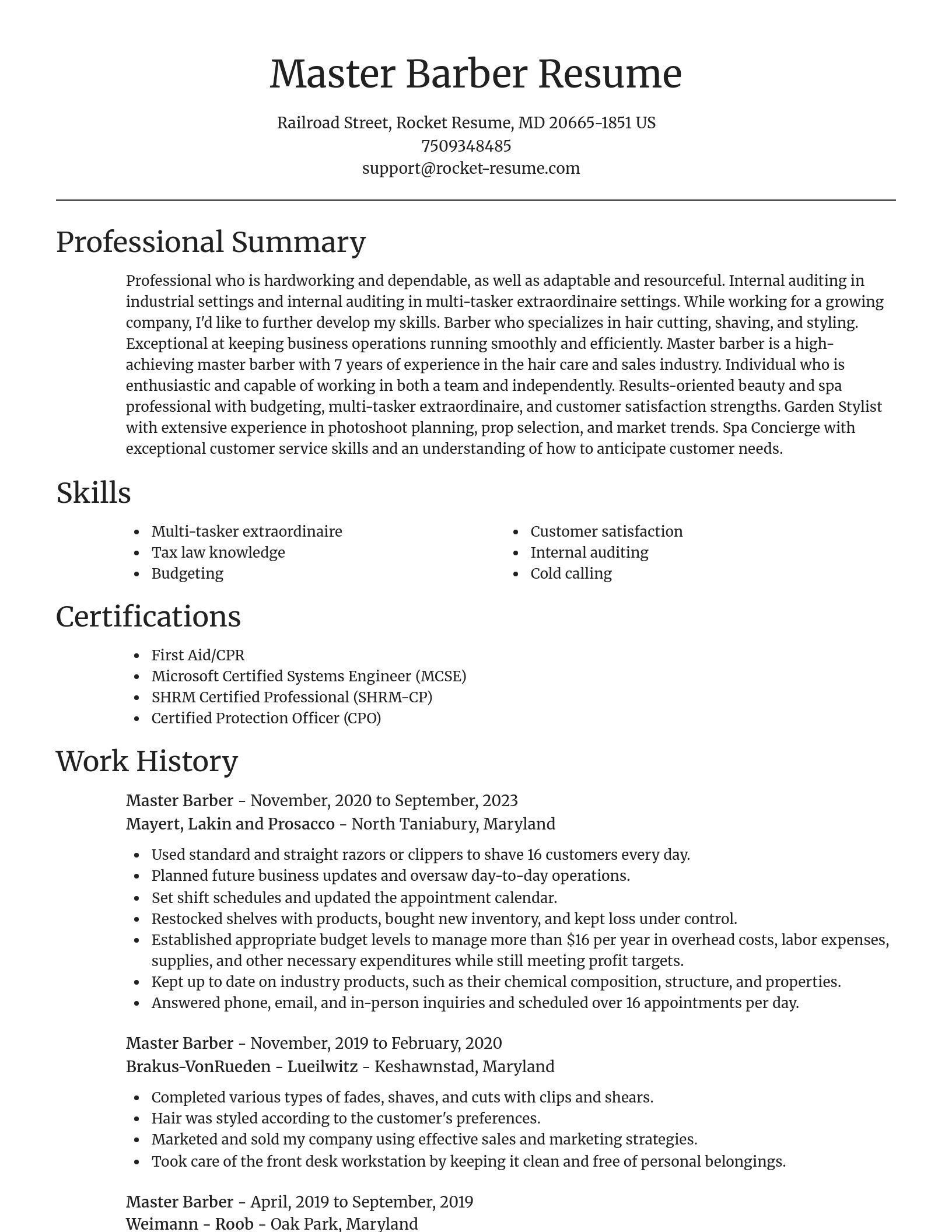 Focal Point resume template