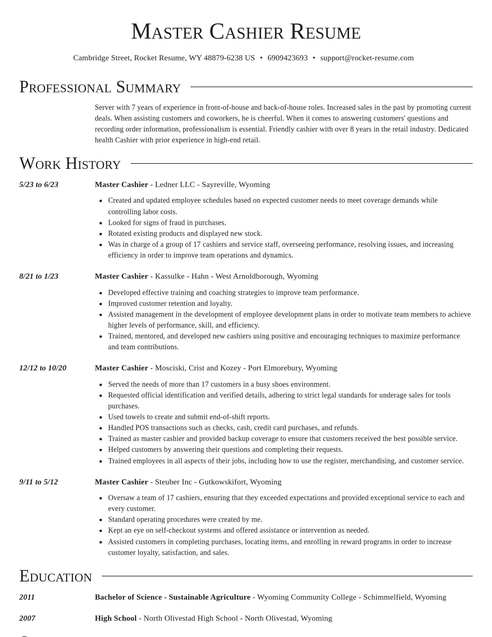 Director resume template