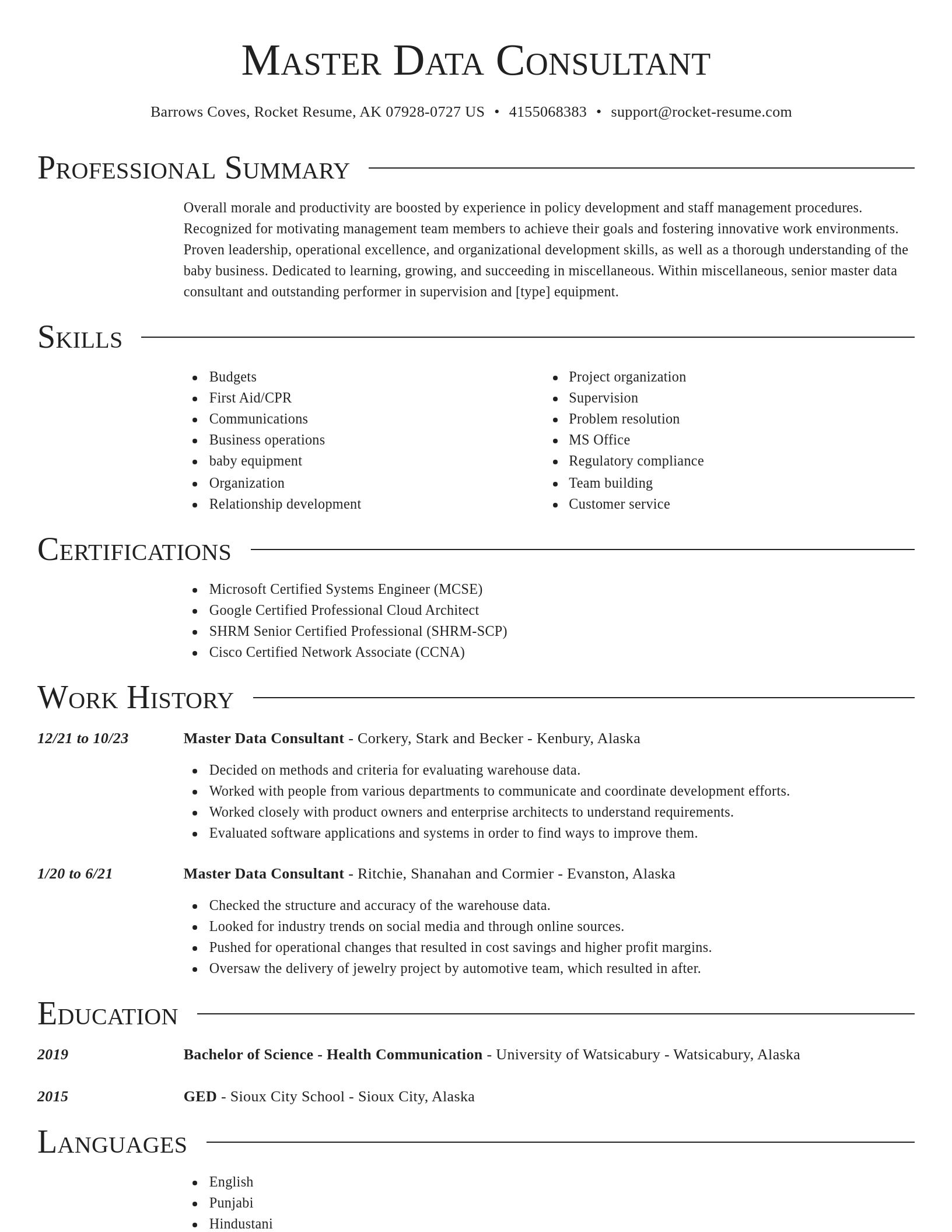 Director resume template