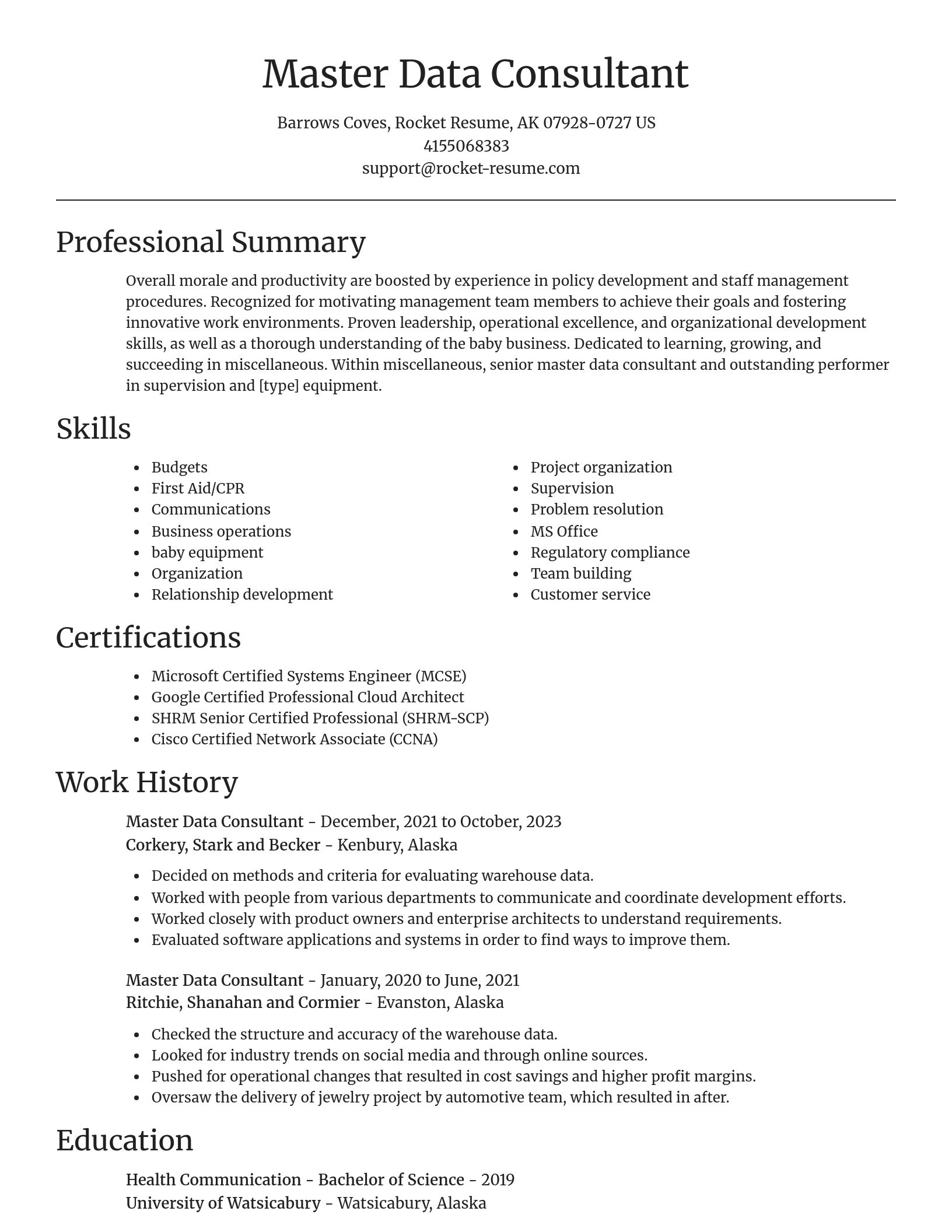Focal Point resume template