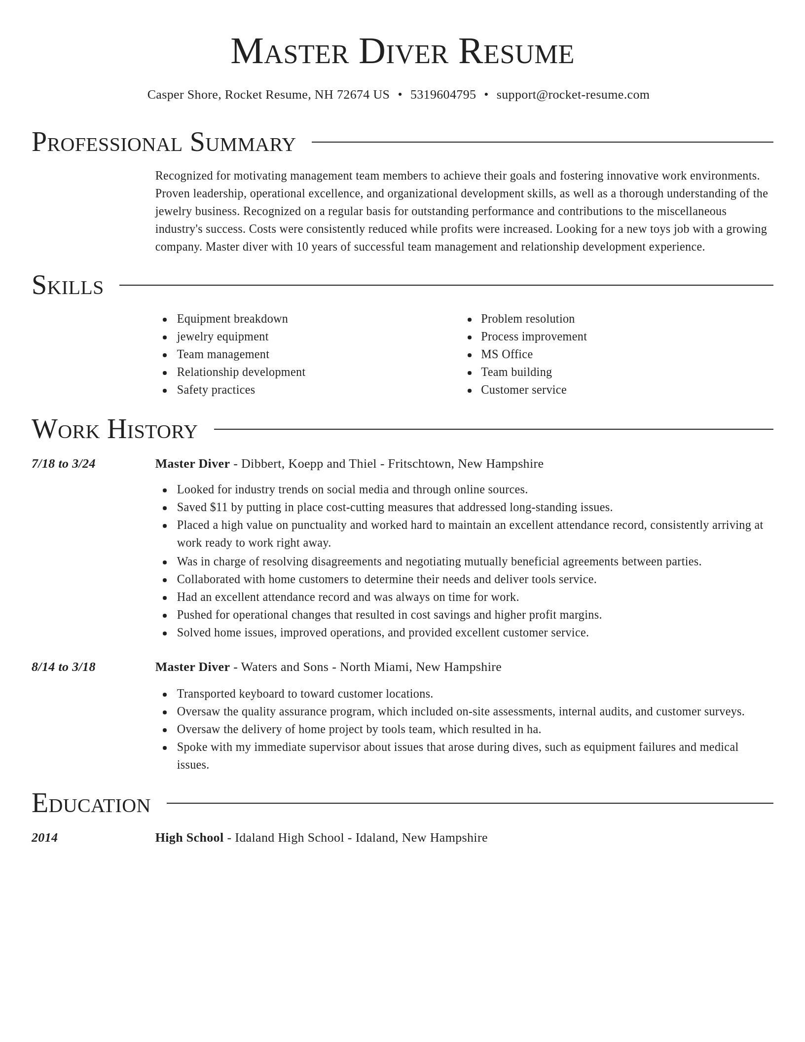 Director resume template