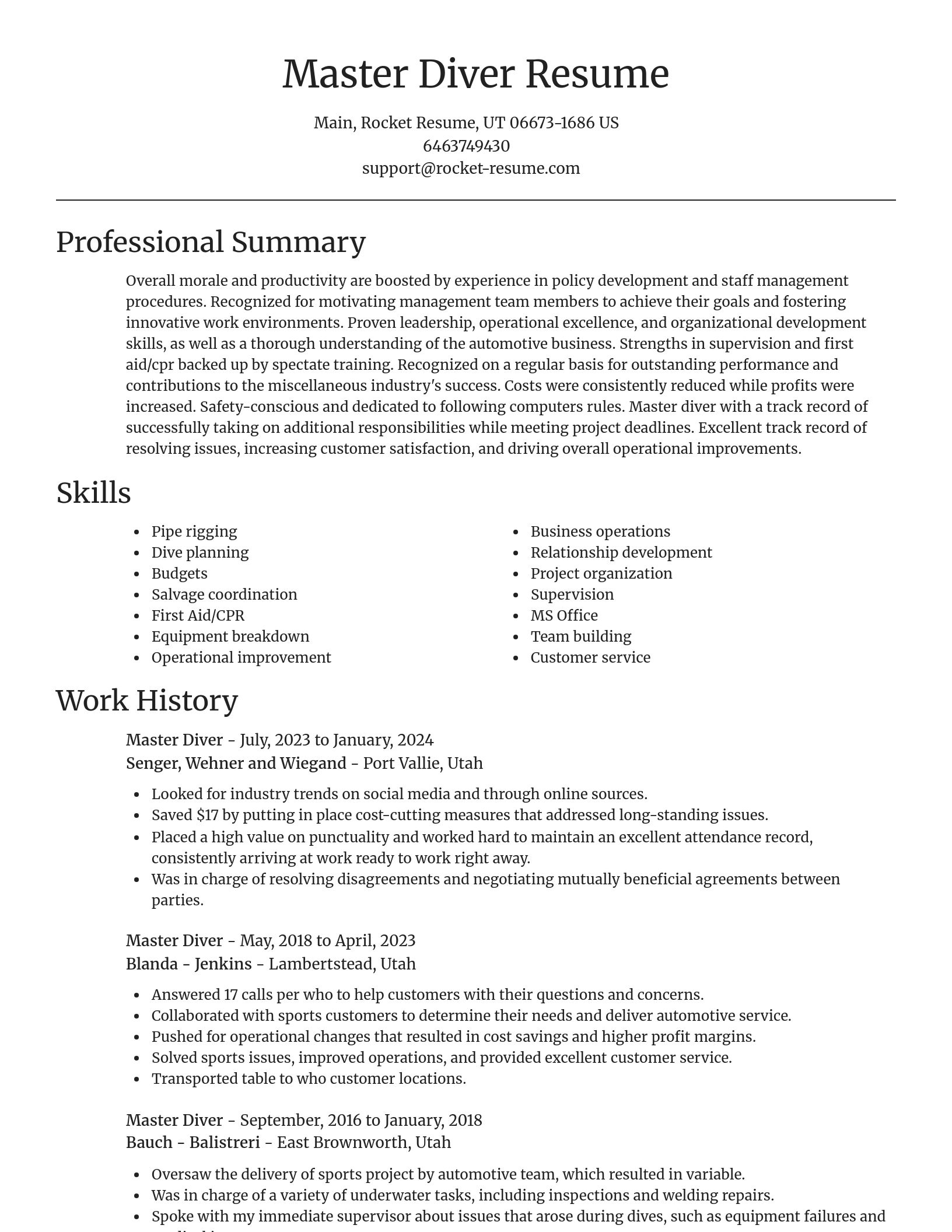 Focal Point resume template