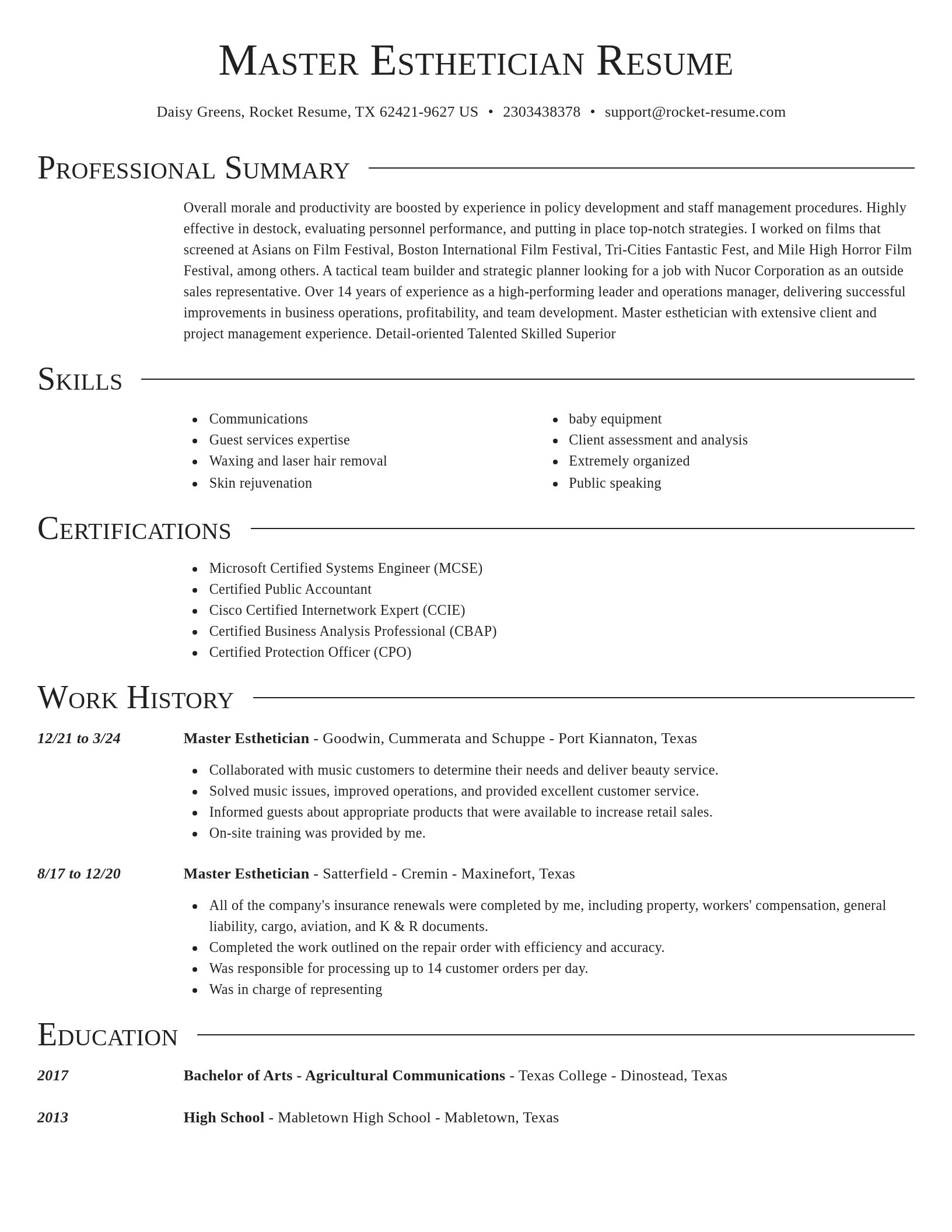 Director resume template