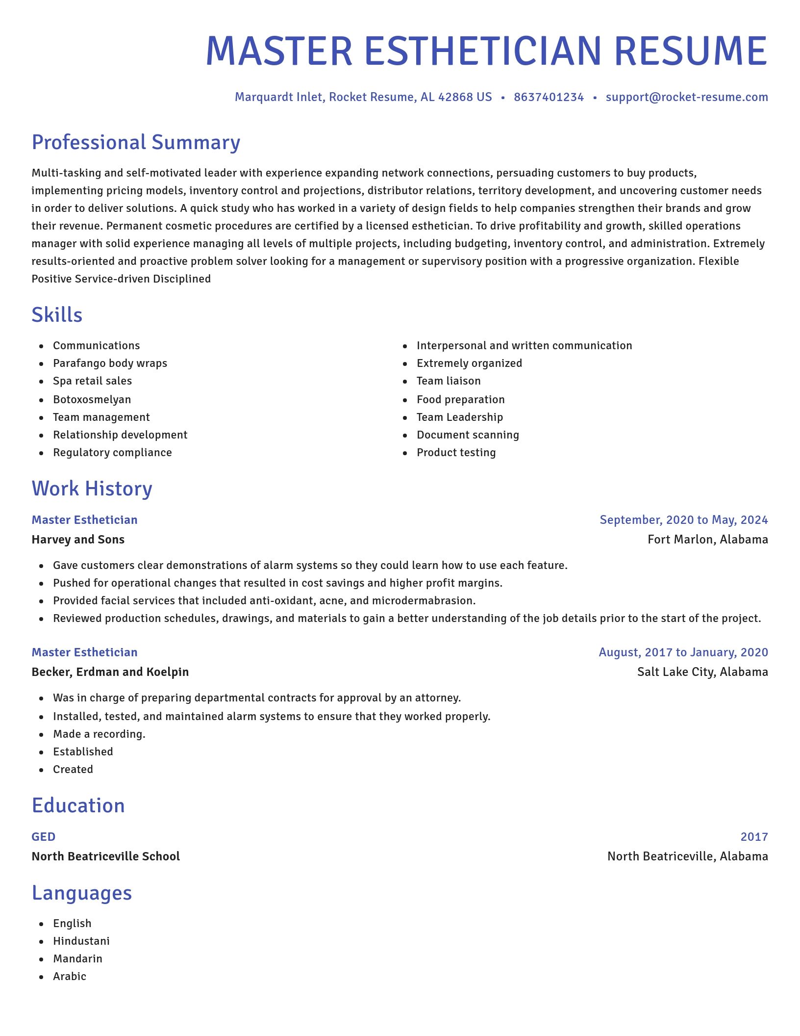 Novel resume template