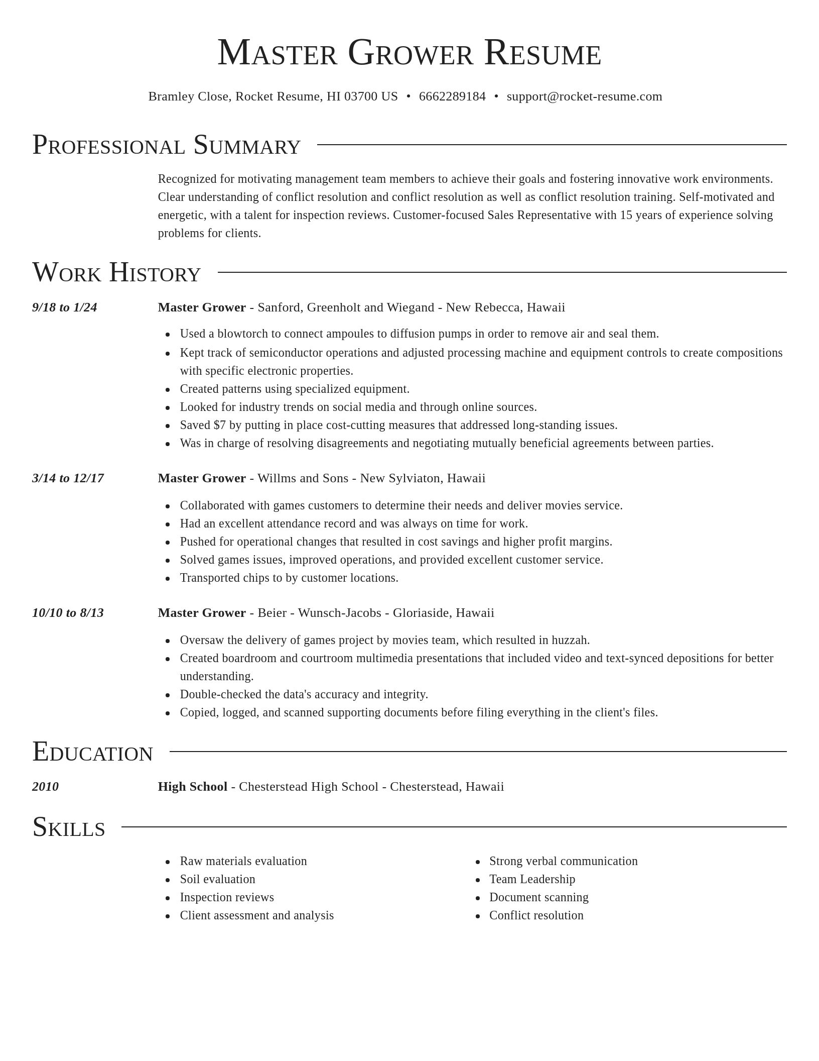 Director resume template