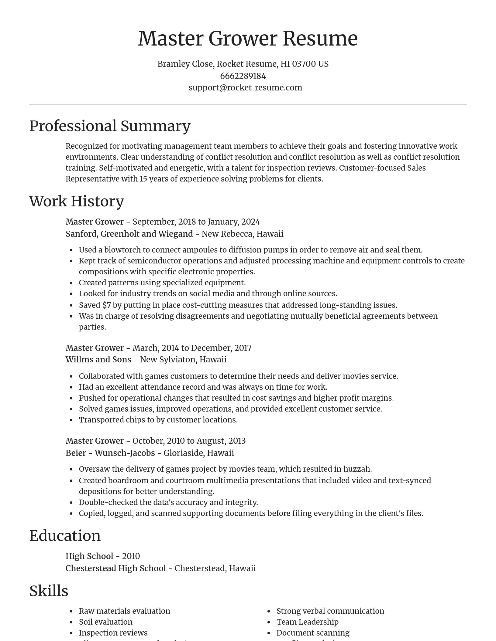 Focal Point resume template