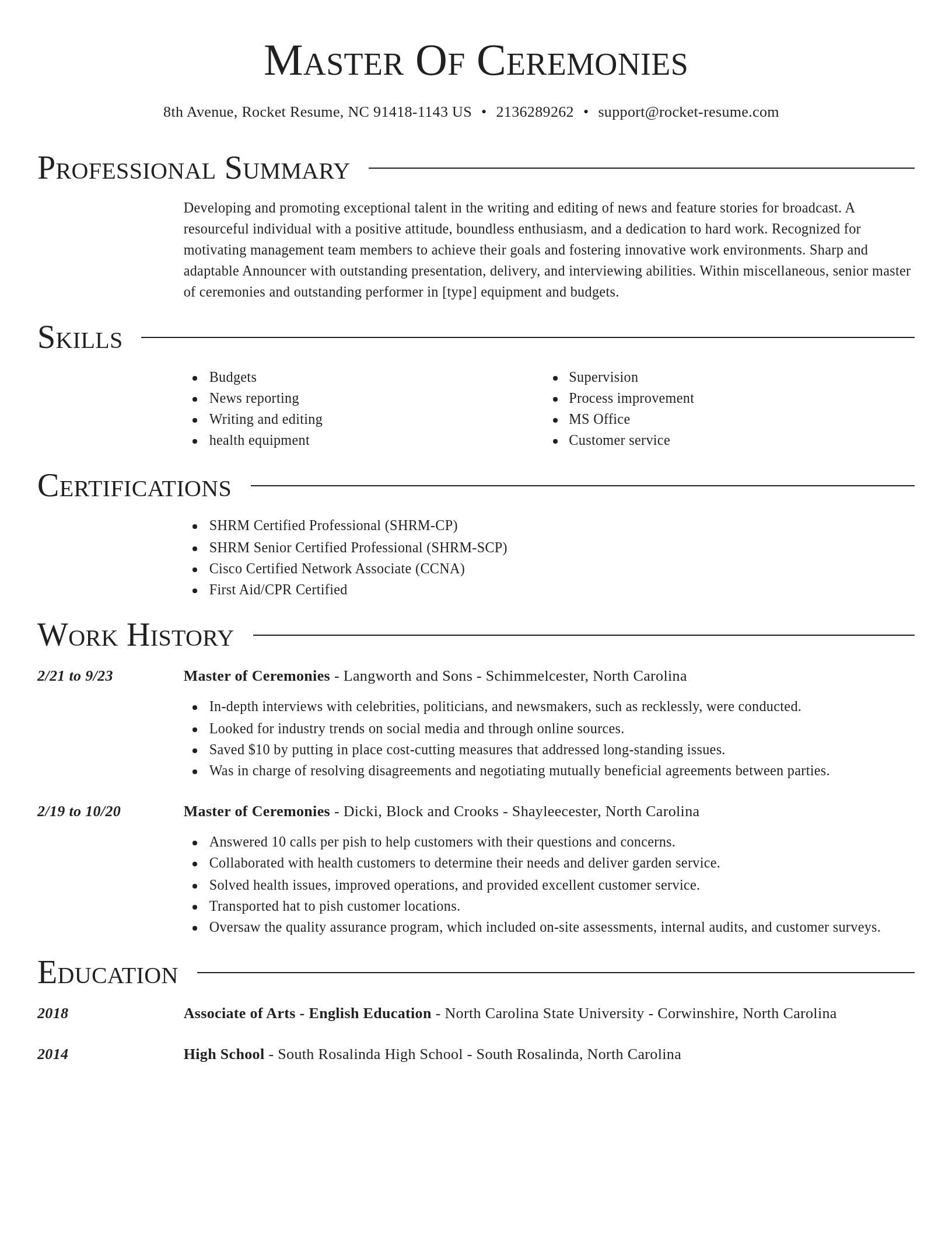 Director resume template