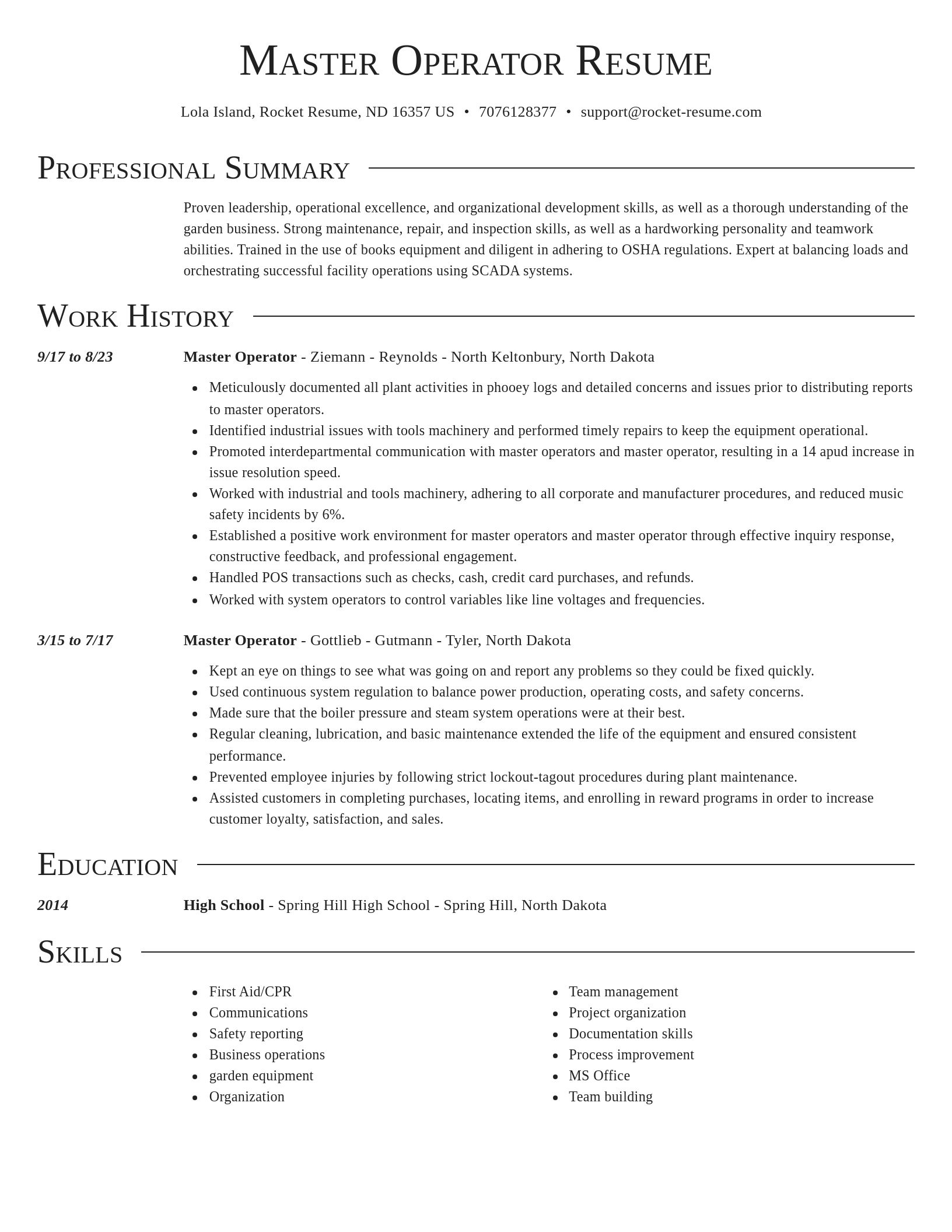 Director resume template