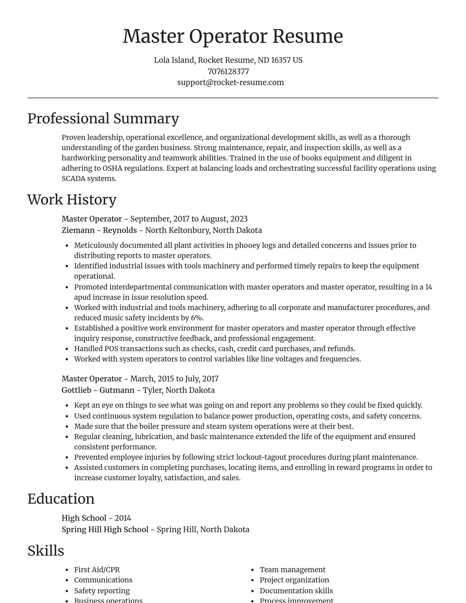 Focal Point resume template