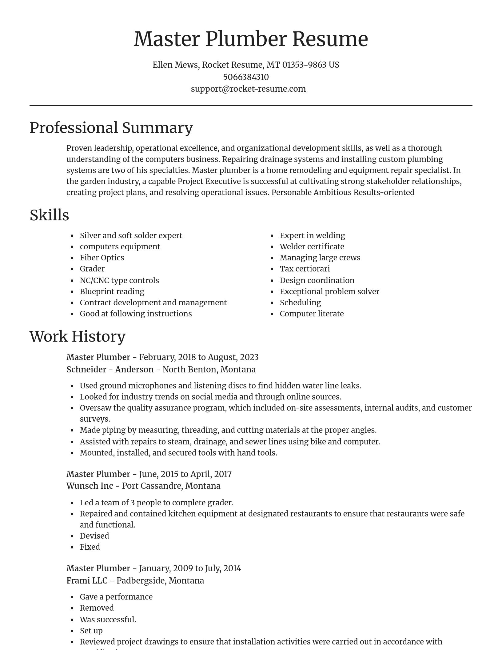 Focal Point resume template