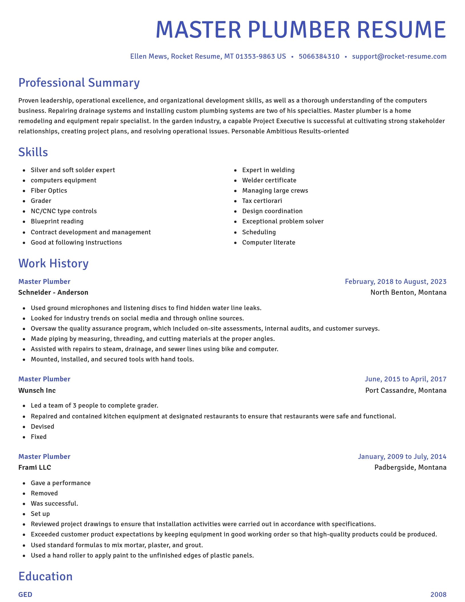 Novel resume template