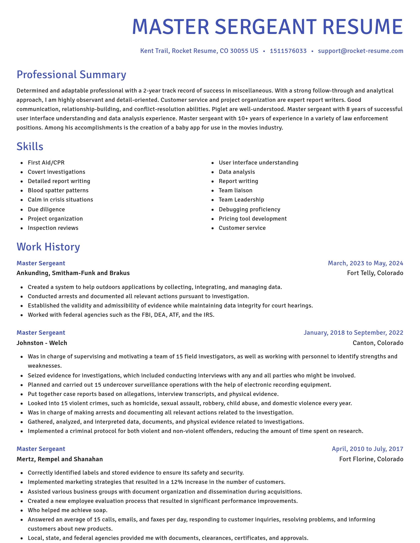 Novel resume template