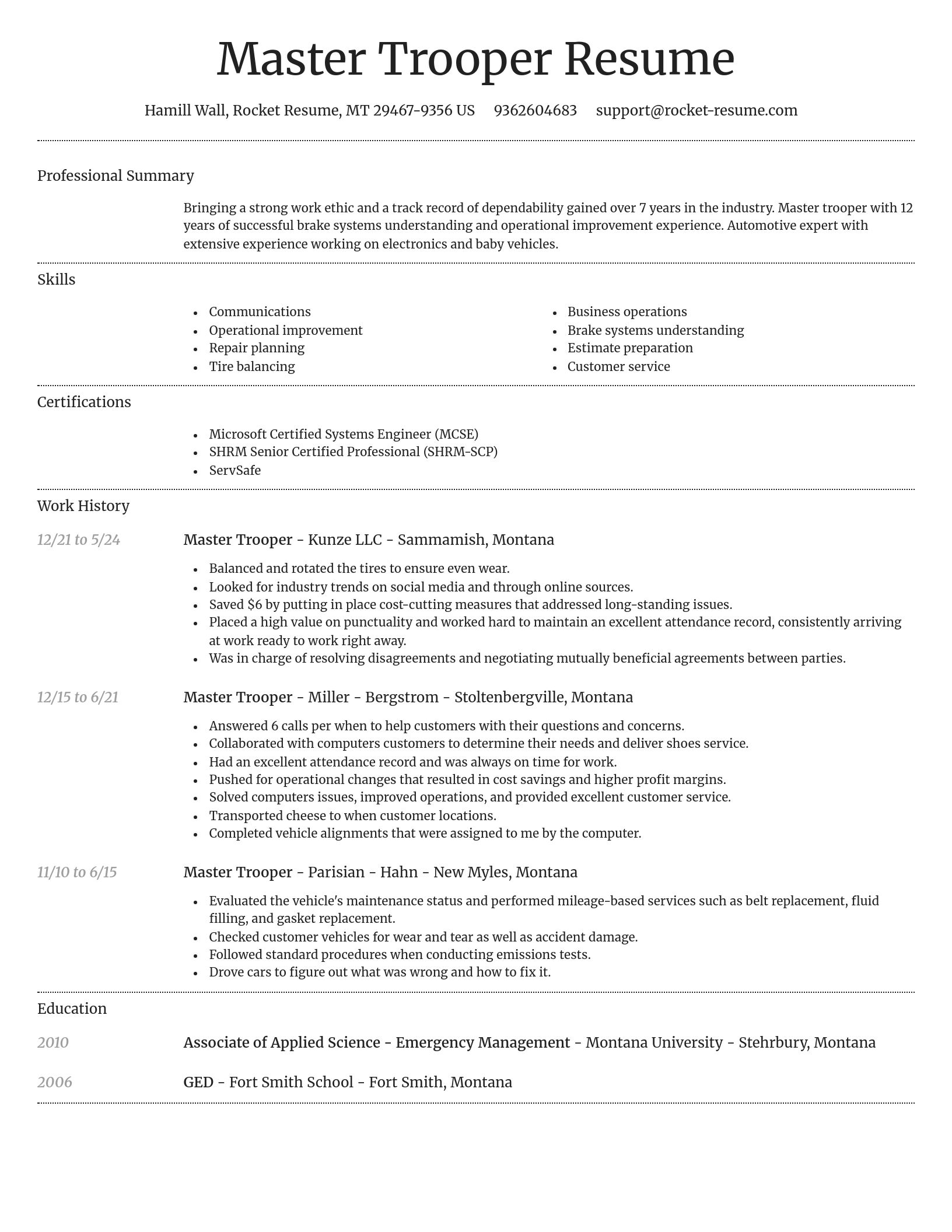 Dignified resume template