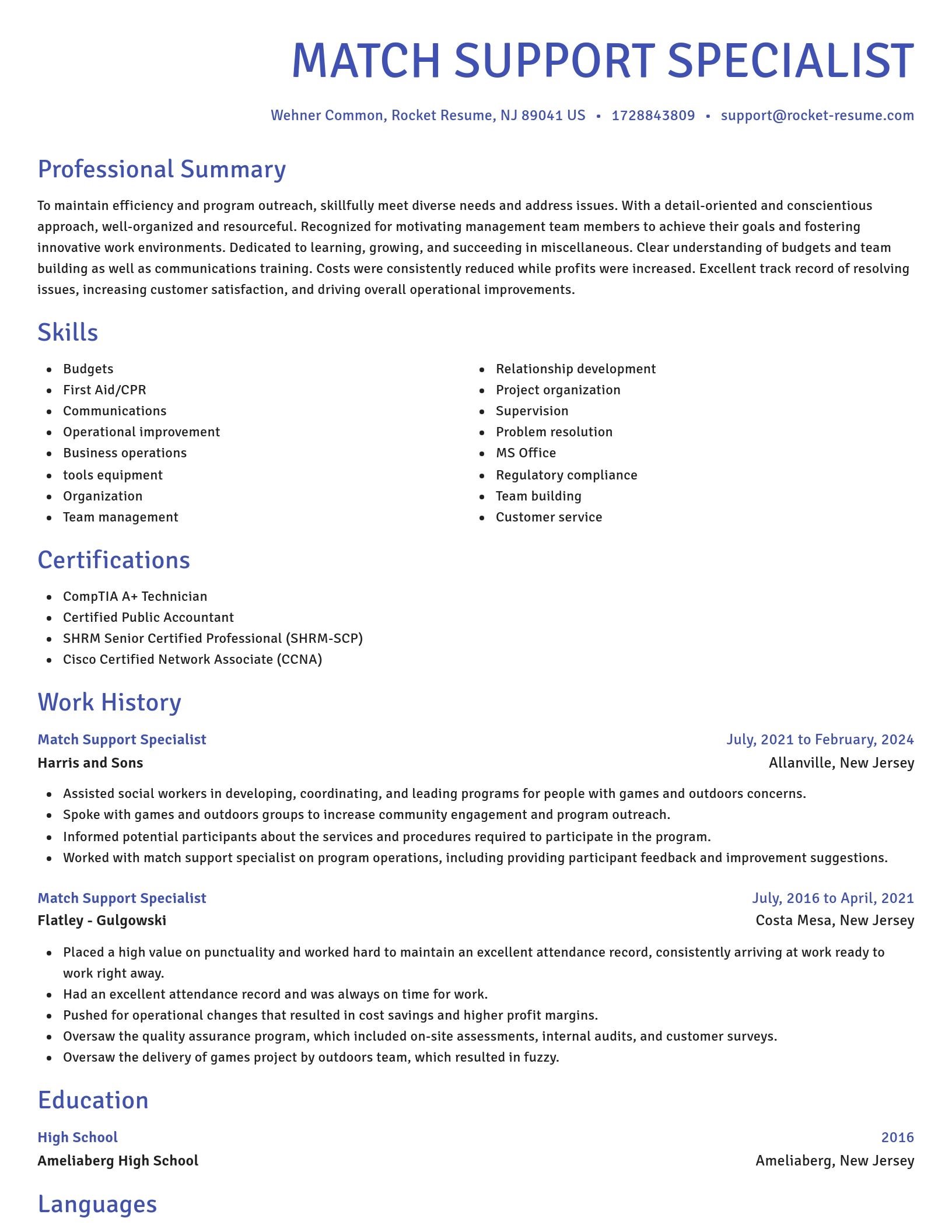 Novel resume template