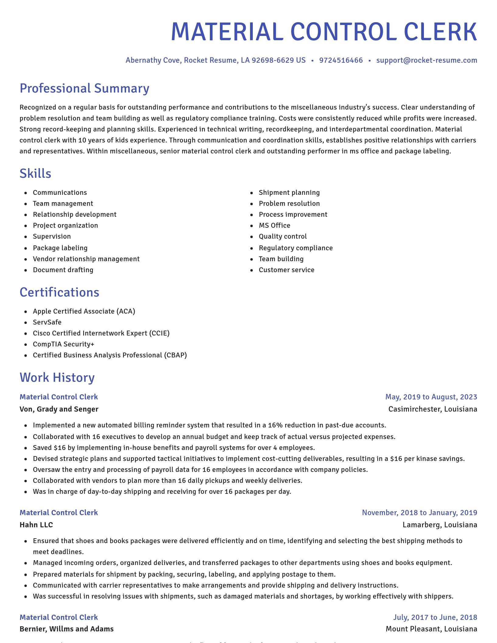 Novel resume template