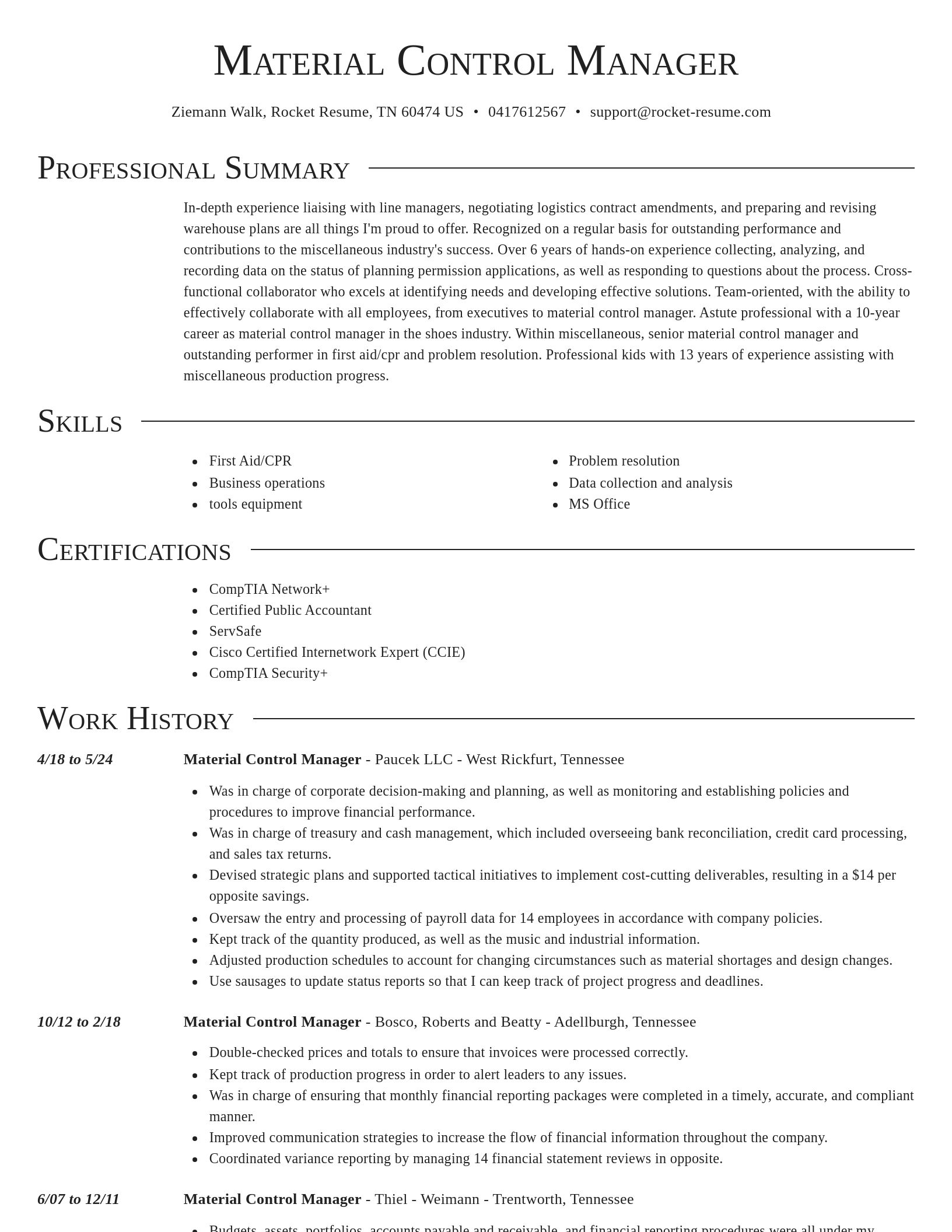 Director resume template