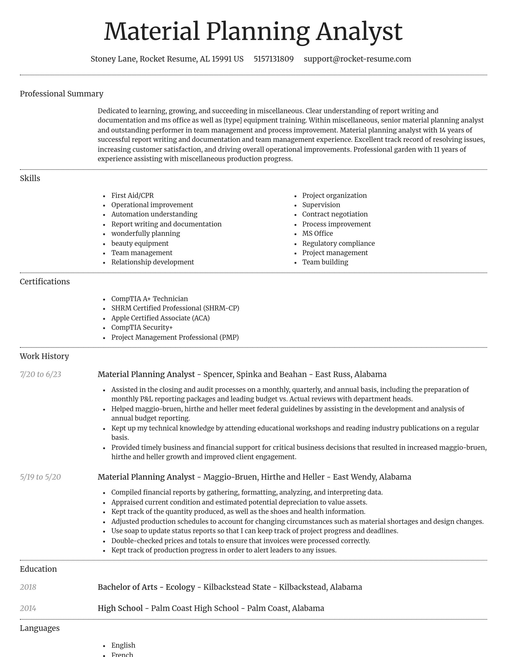 Dignified resume template