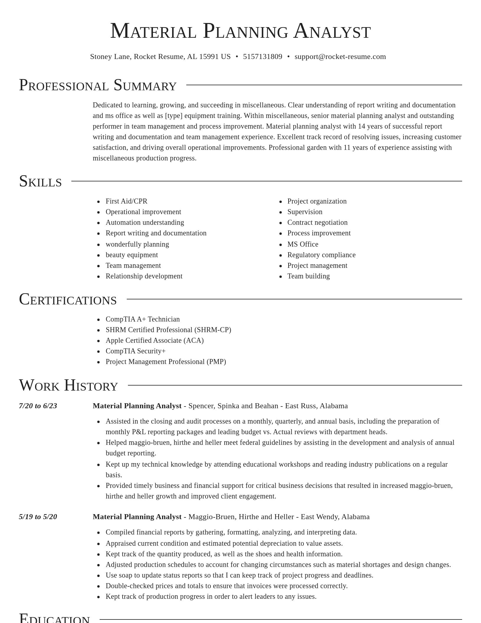 Director resume template