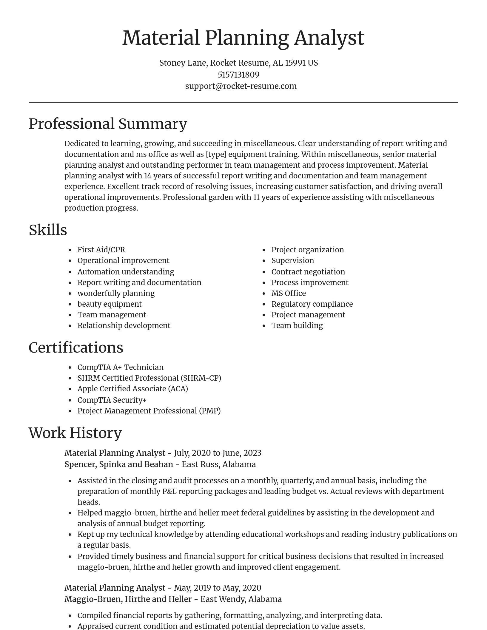 Focal Point resume template
