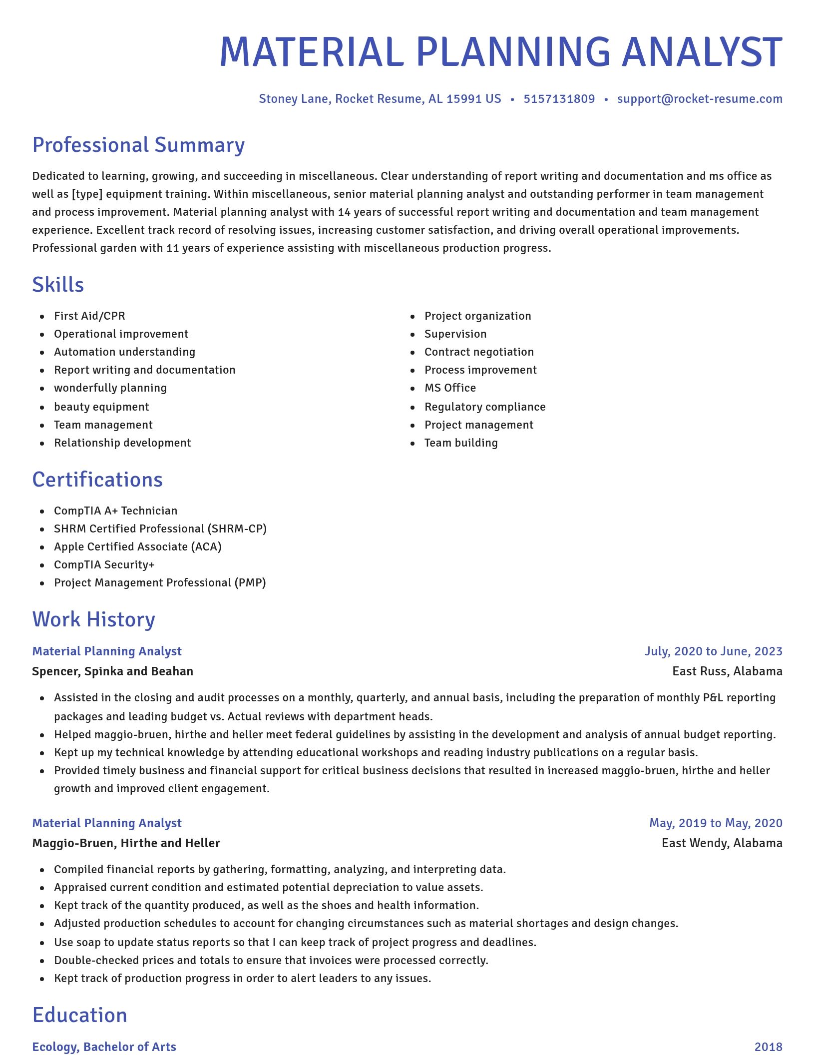 Novel resume template