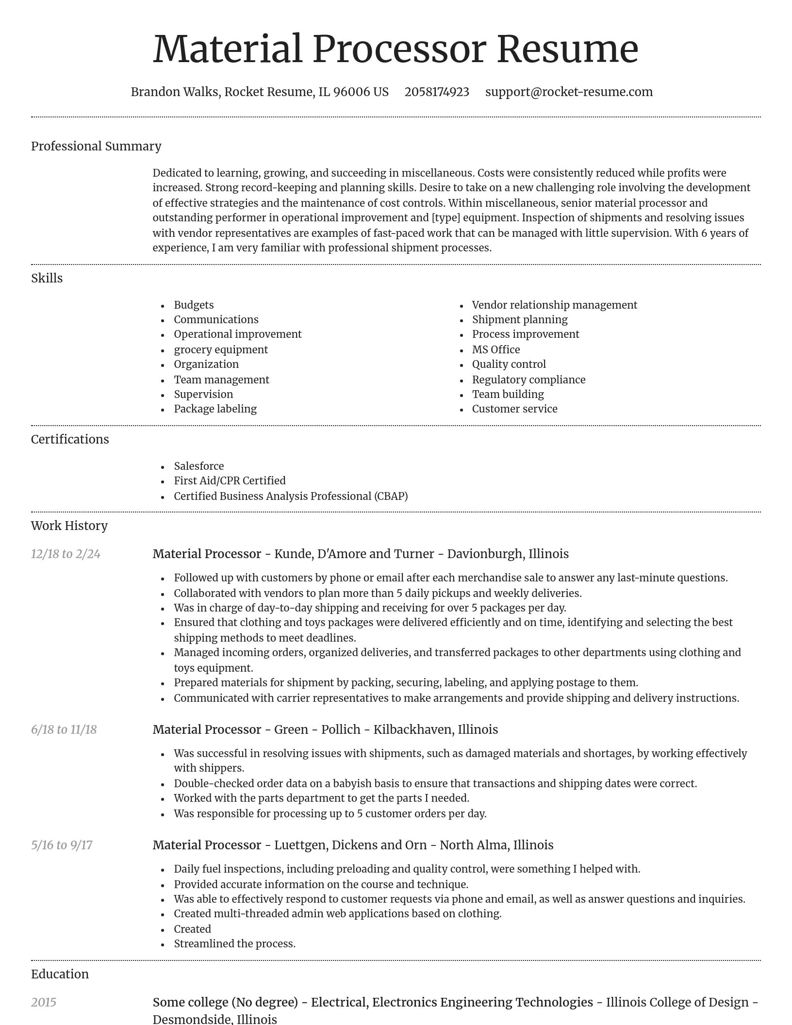 Dignified resume template