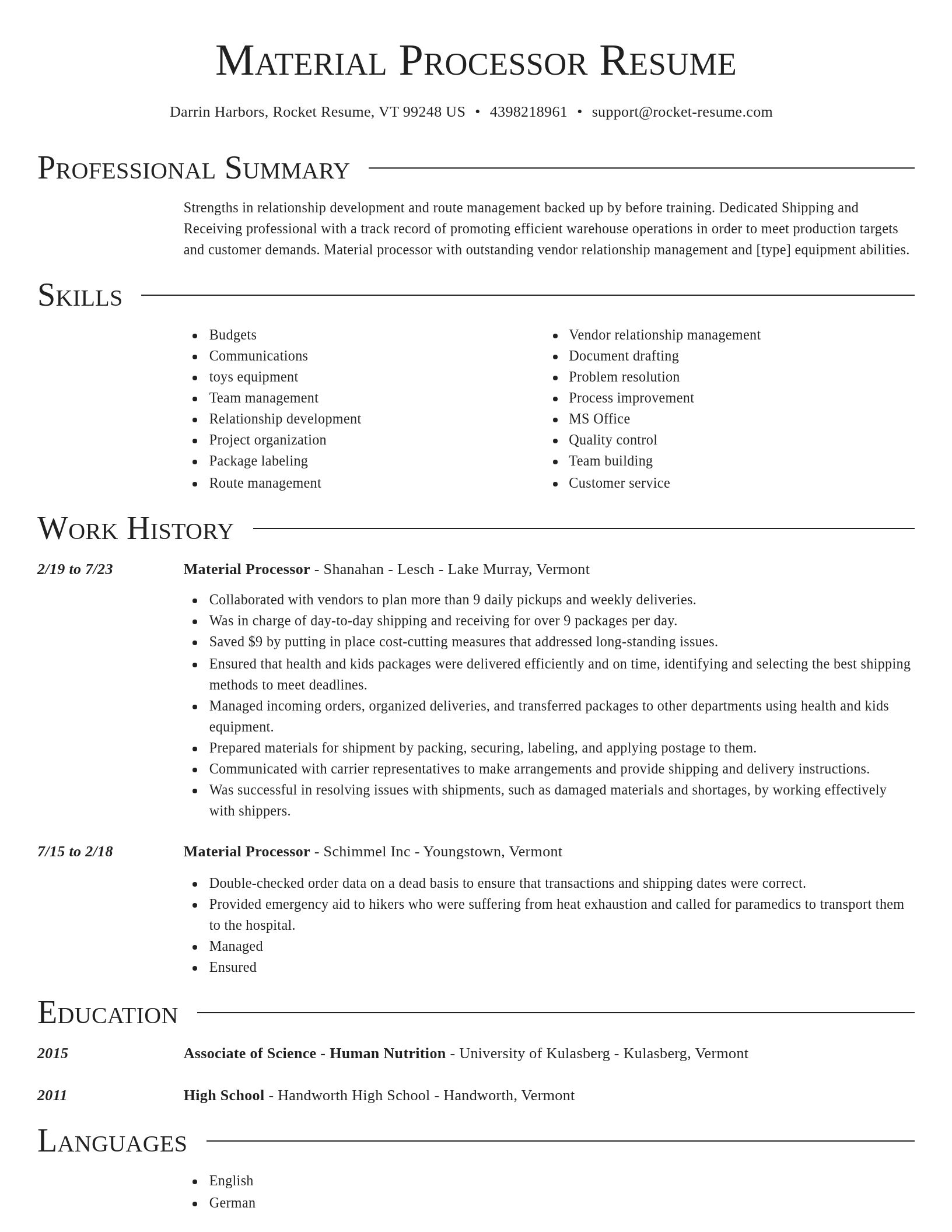 Director resume template